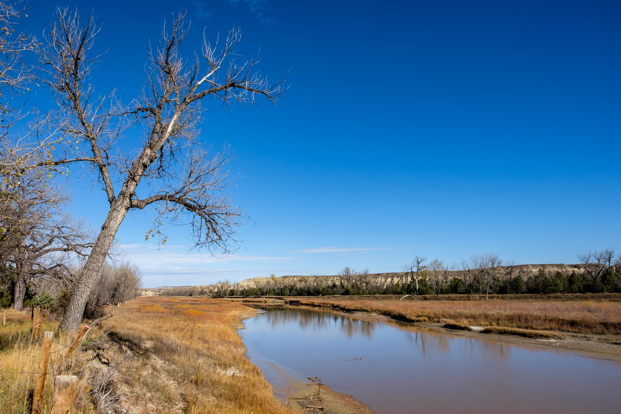 The banks of the Little Missouri River next to the site where Elkhorn Ranch once stood.