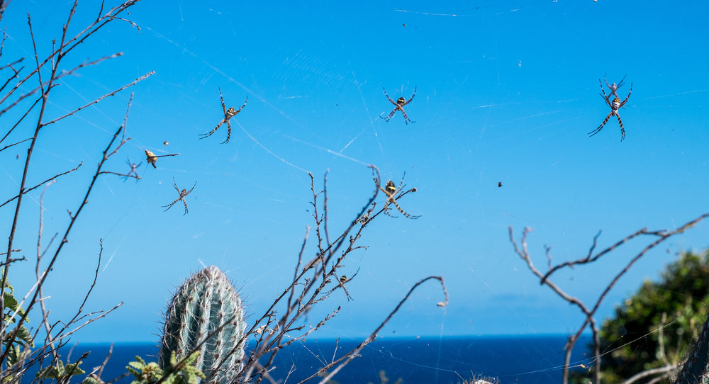 20160120-SP-Virgin Islands-302-_DSF9629.jpg