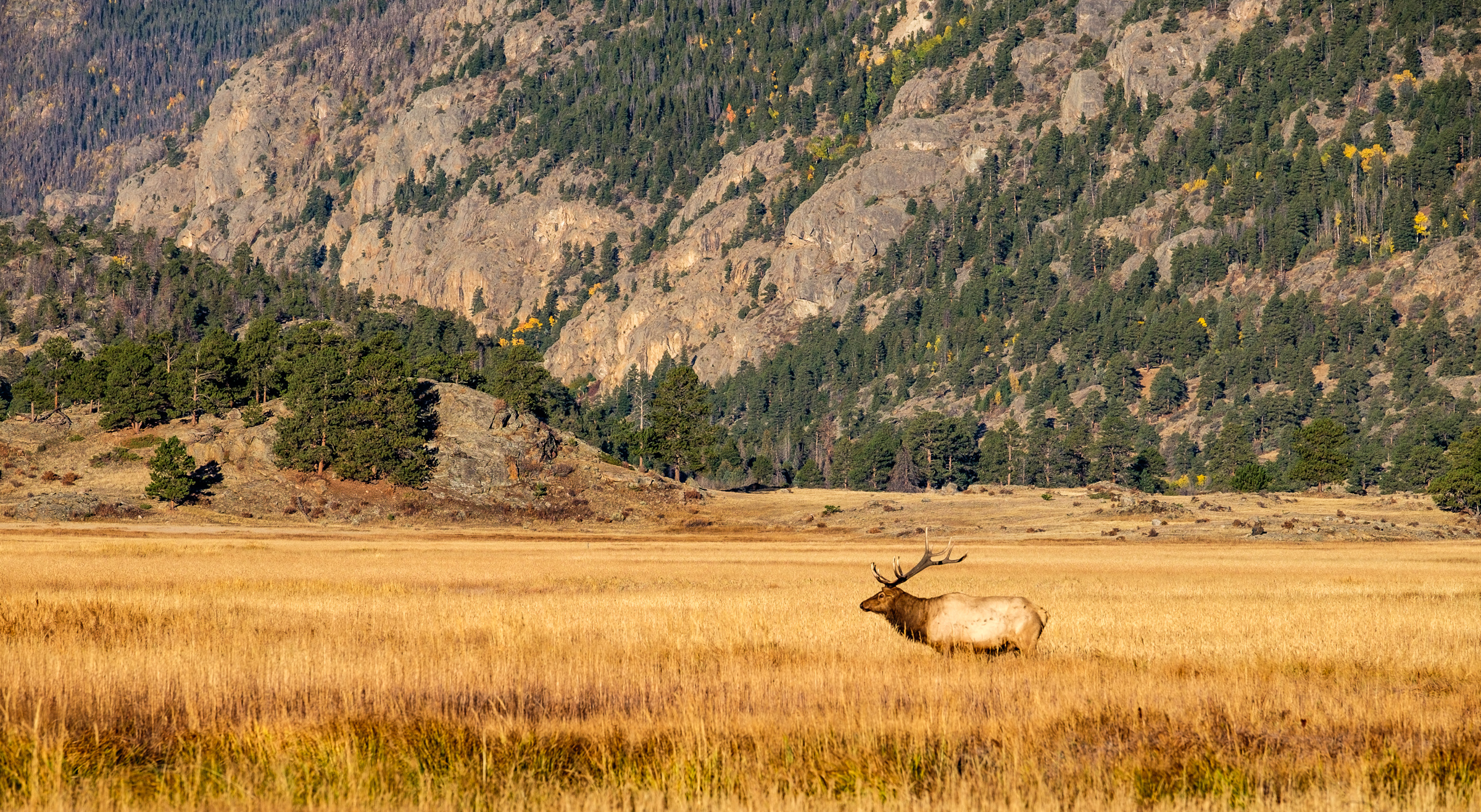 20161003-SP-Rocky Mountain National Park-_DSF8702.jpg