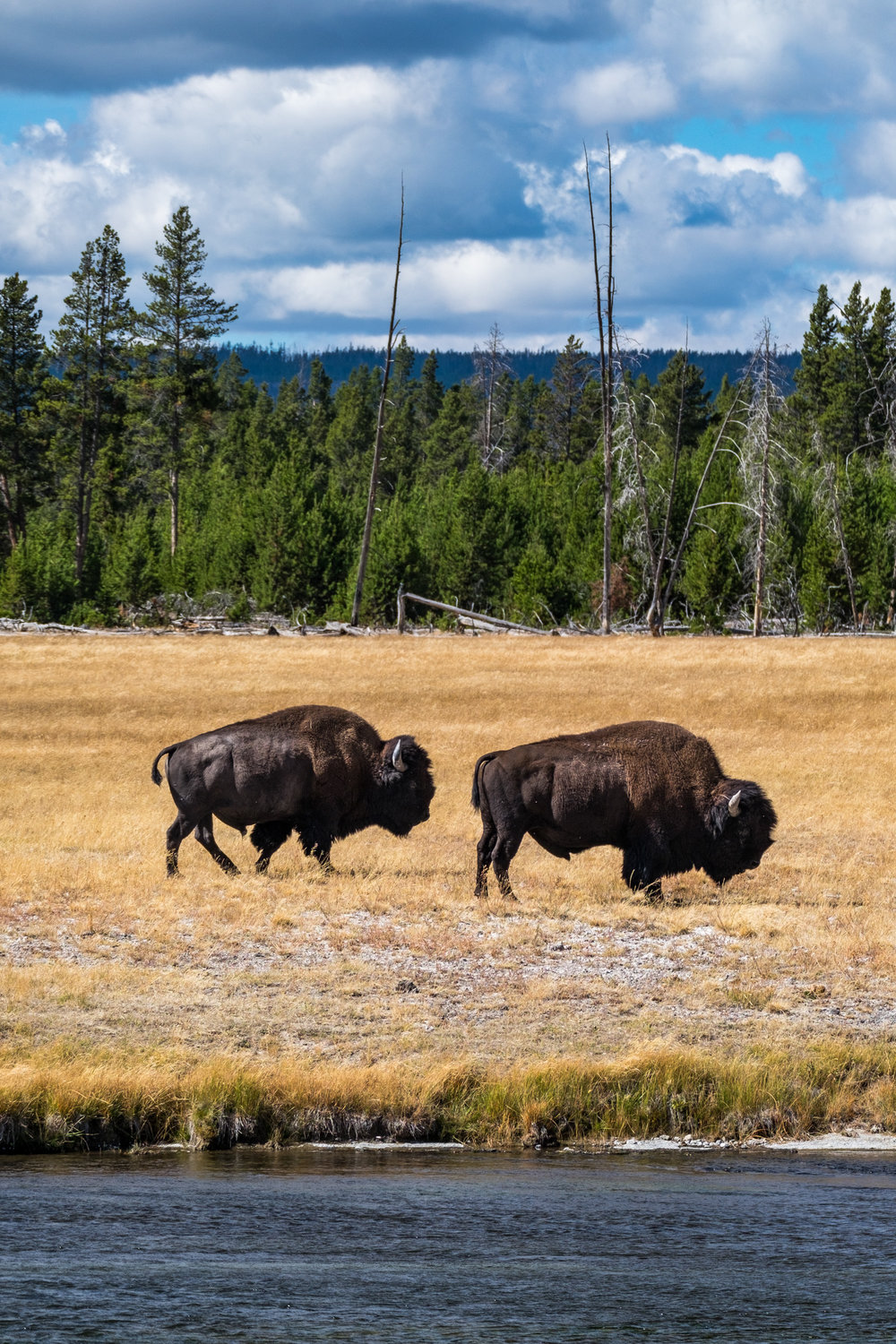 20160919-JI-Yellowstone National Park-_DSF6890-2.jpg