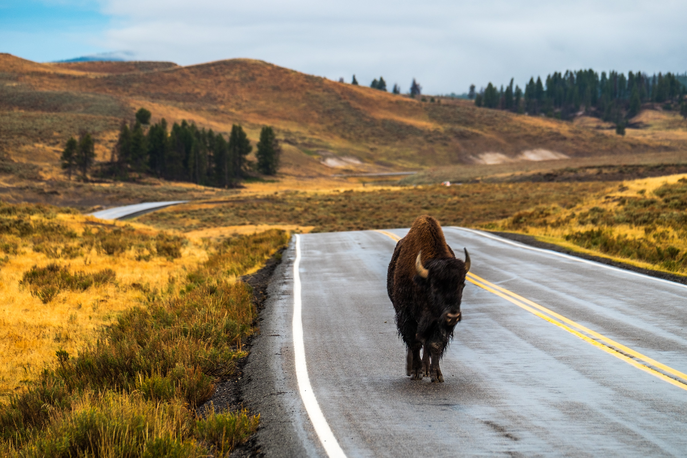 20160922-JI-Yellowstone National Park-_DSF8116.jpg