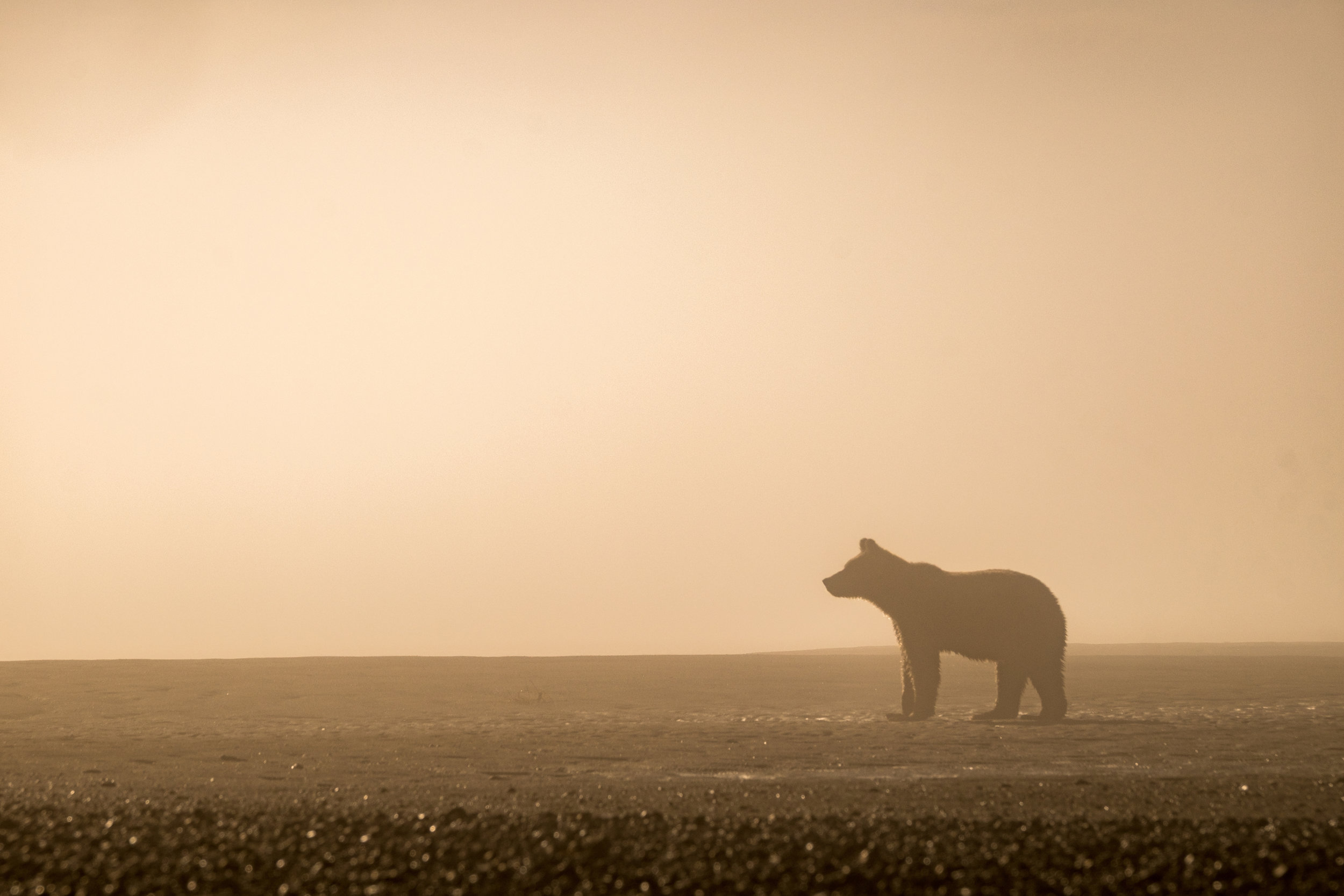 20160820-JI-Lake Clark National Park-_DSF1037.jpg