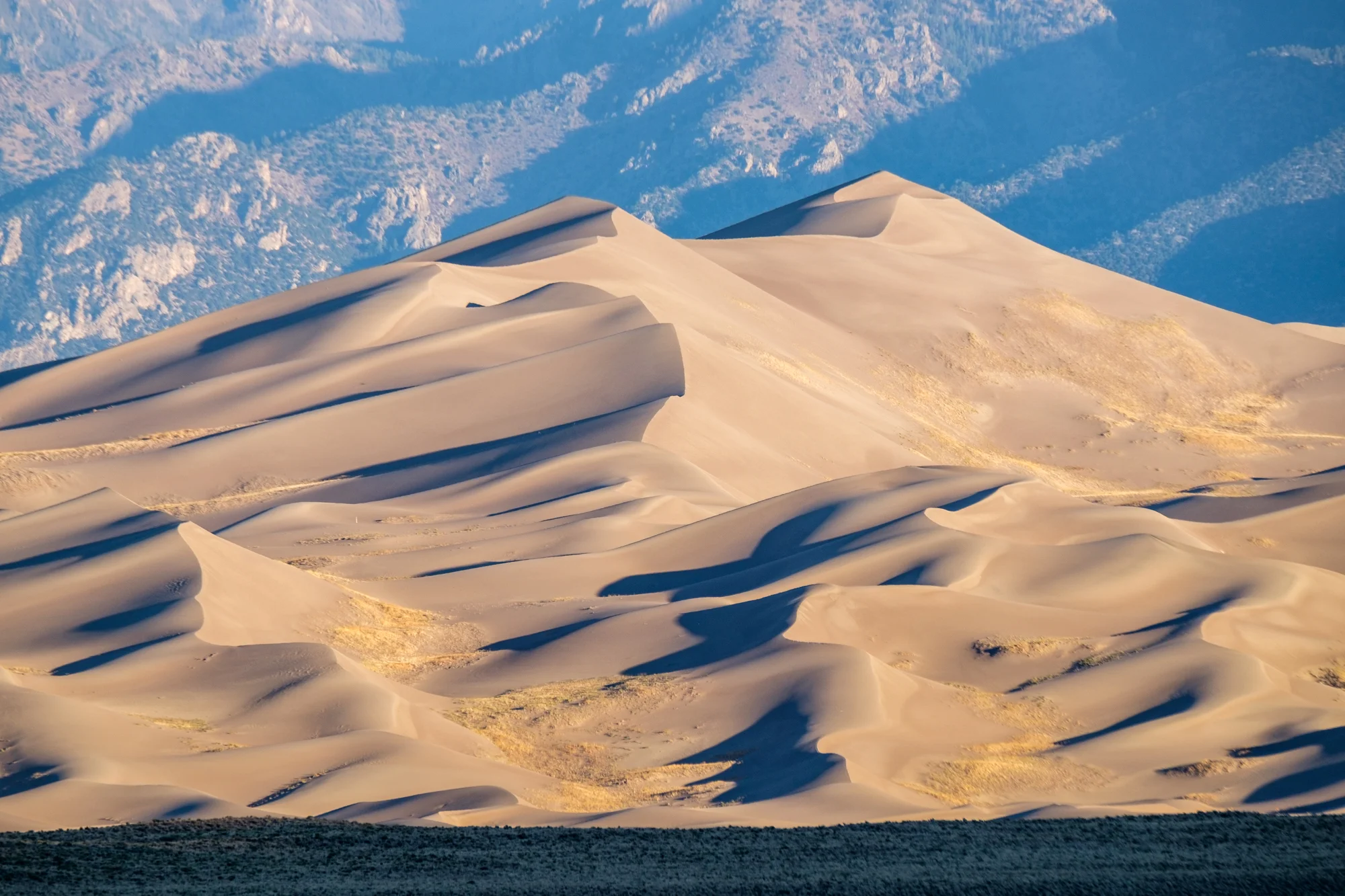 "Reversing dunes" are the largest dunes, designed by winds moving the sands in opposite directions.