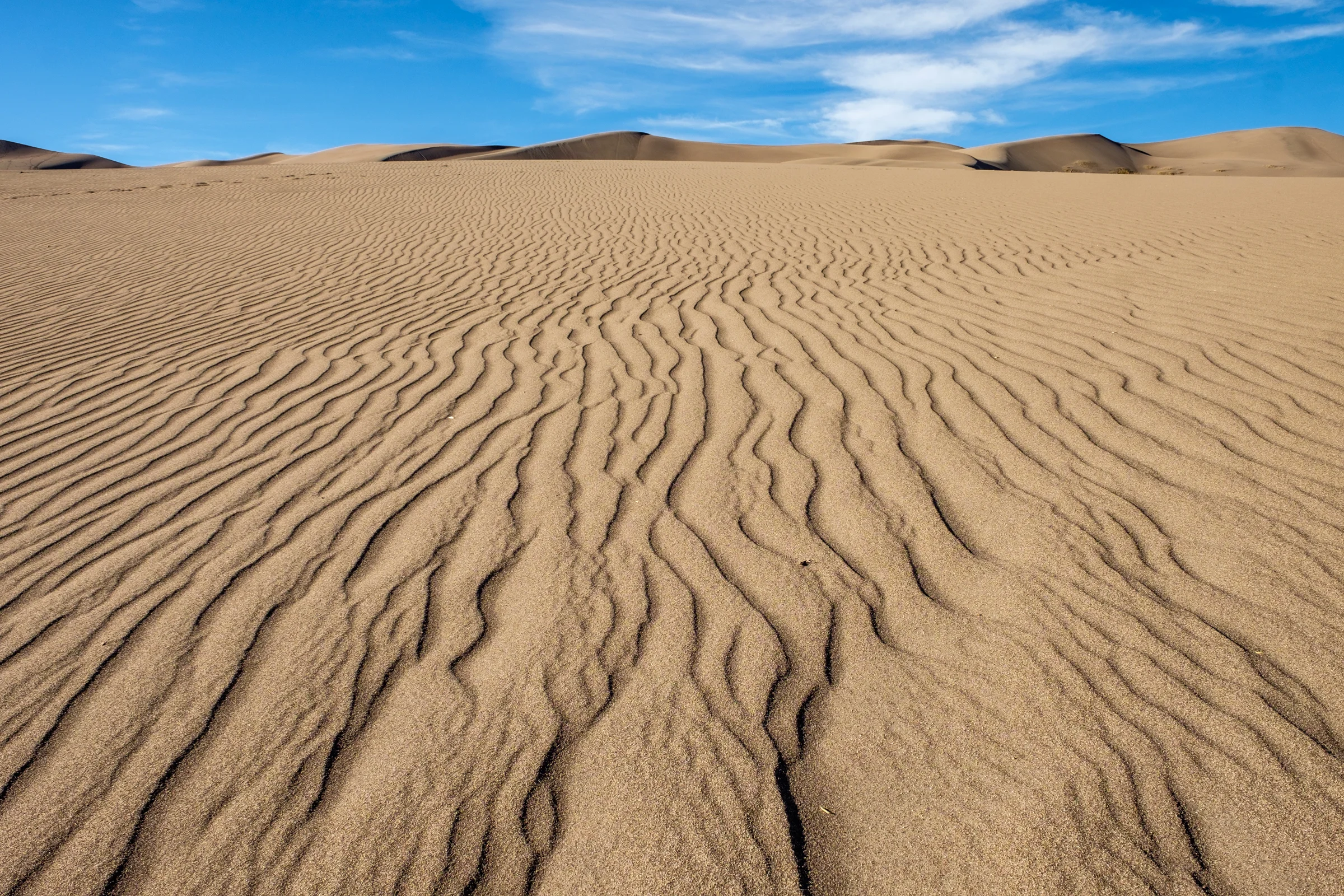 "Transverse dunes" are a series of aligned dunes leading up to the crest. 