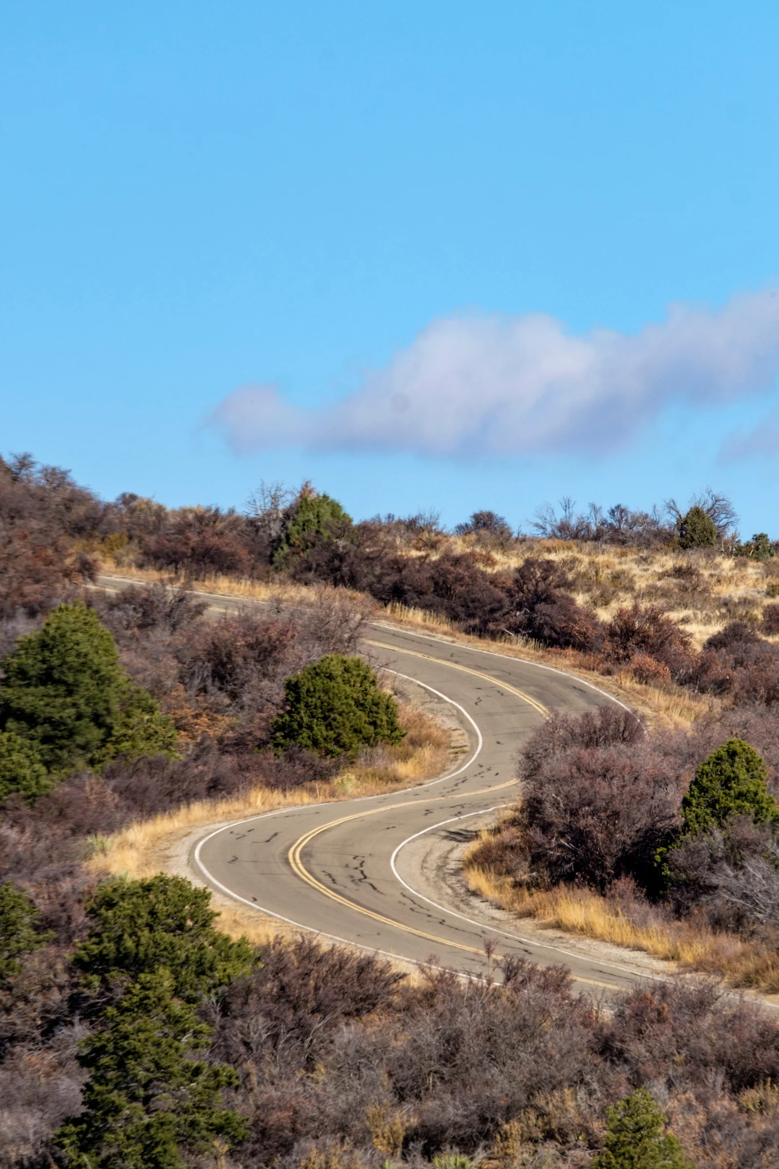 Mesa Top Loop Road surrounded by beautiful brush in fall 2016. 