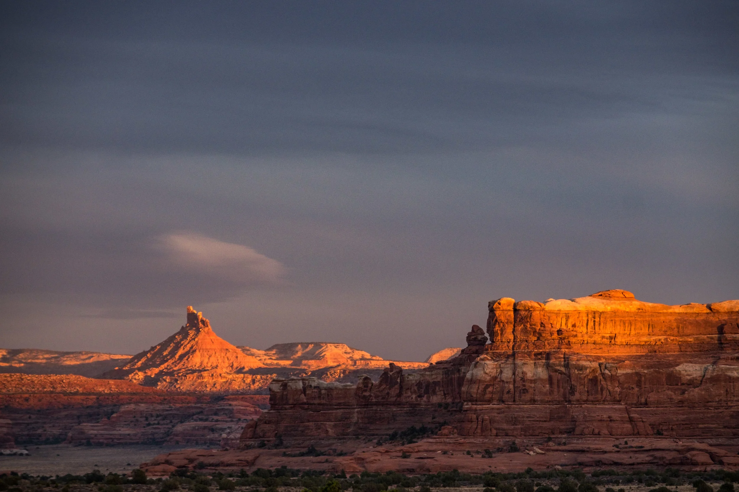 Golden hour in the Canyonlands!