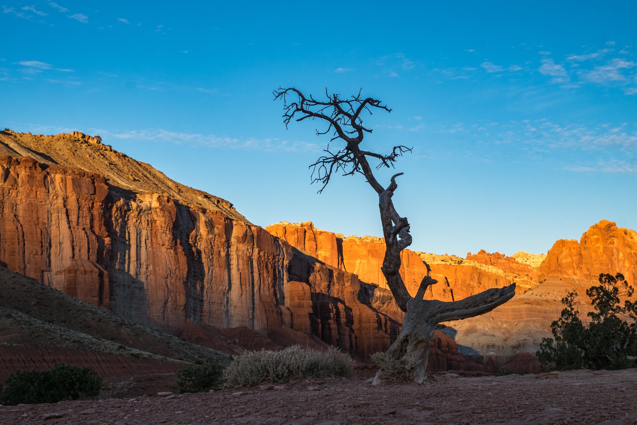 Oost Oprichter Naar boven Capitol Reef National Park — The Greatest American Road Trip