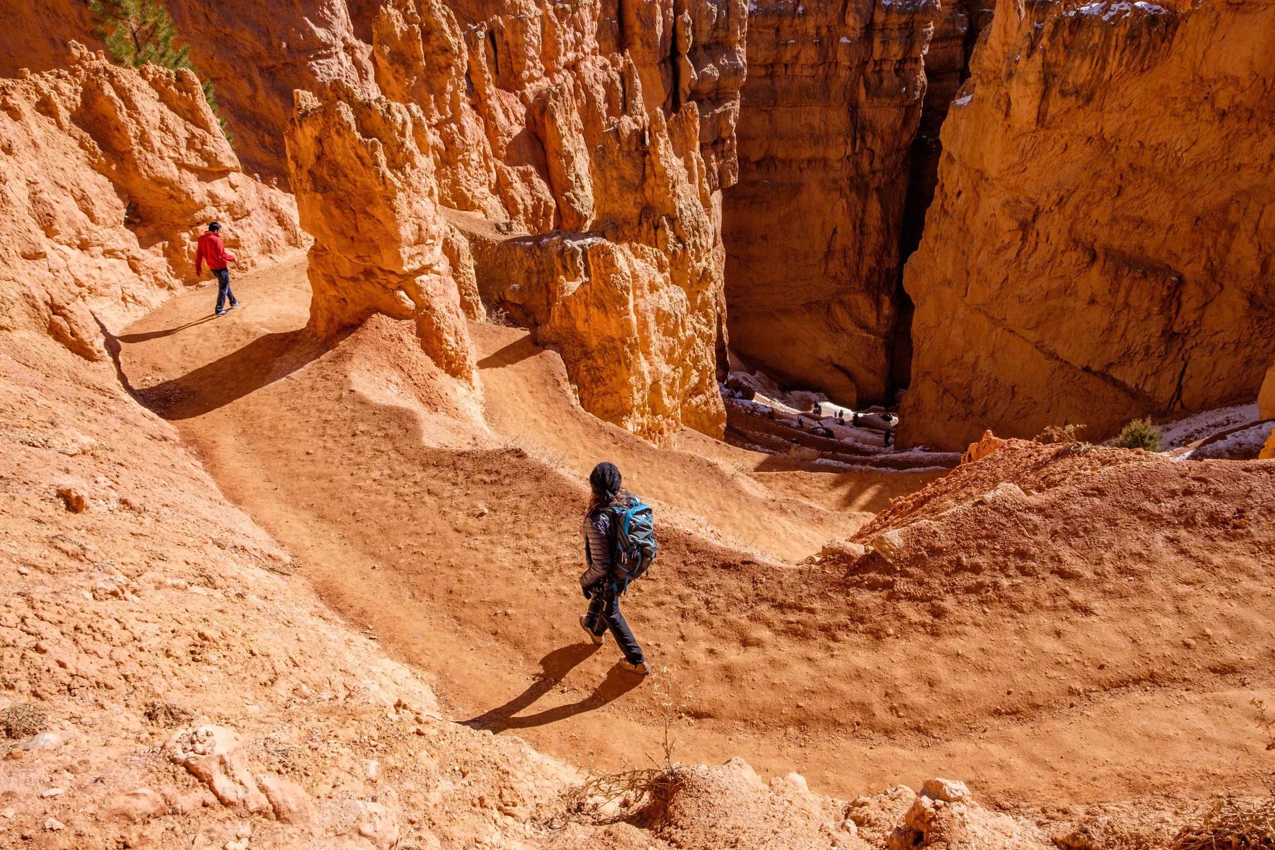 Descending the Navajo Loop trail from Sunset Point. 
