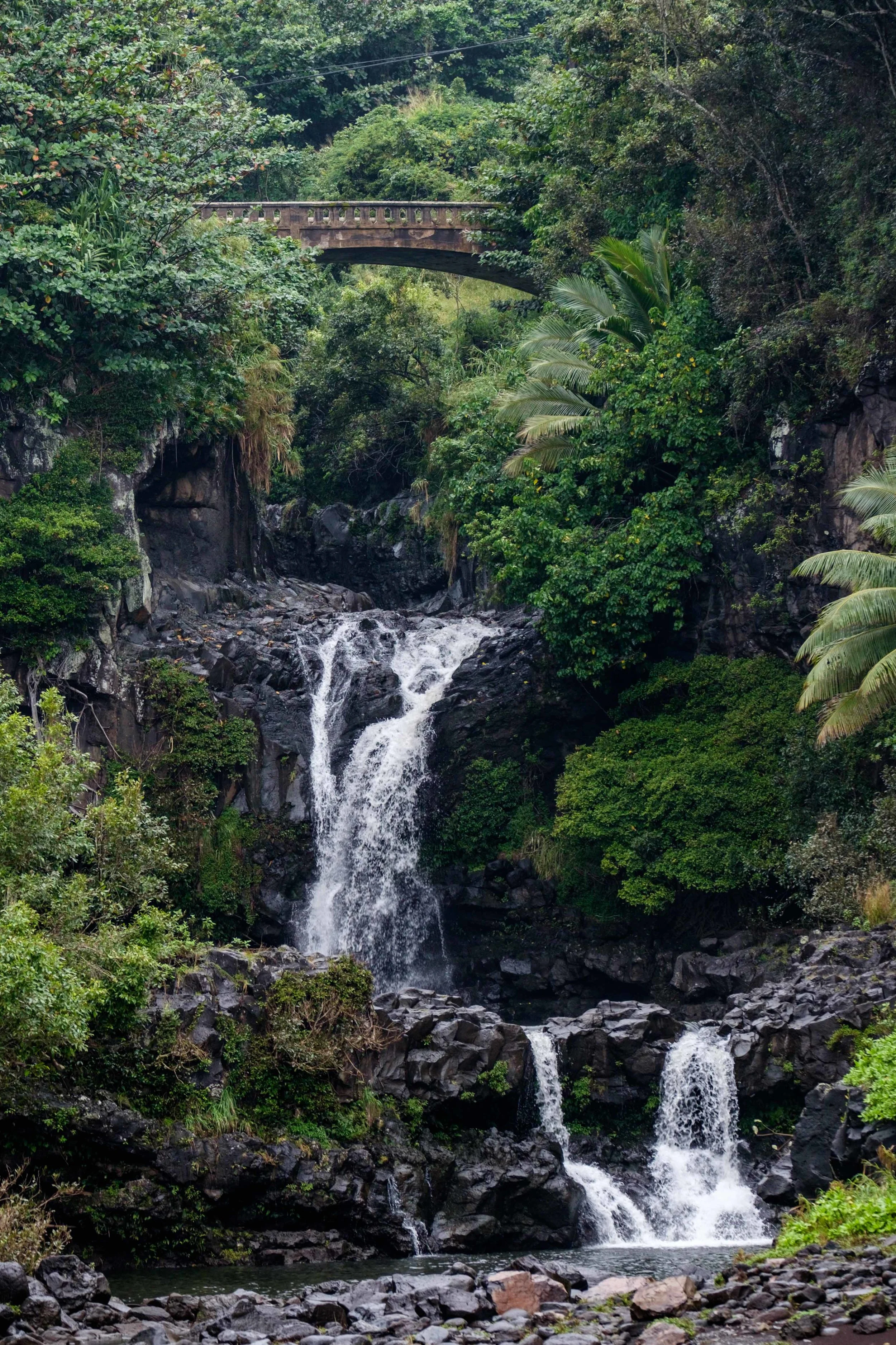A view of some of the Seven Sacred Pools in the Ohe'o Gulch.