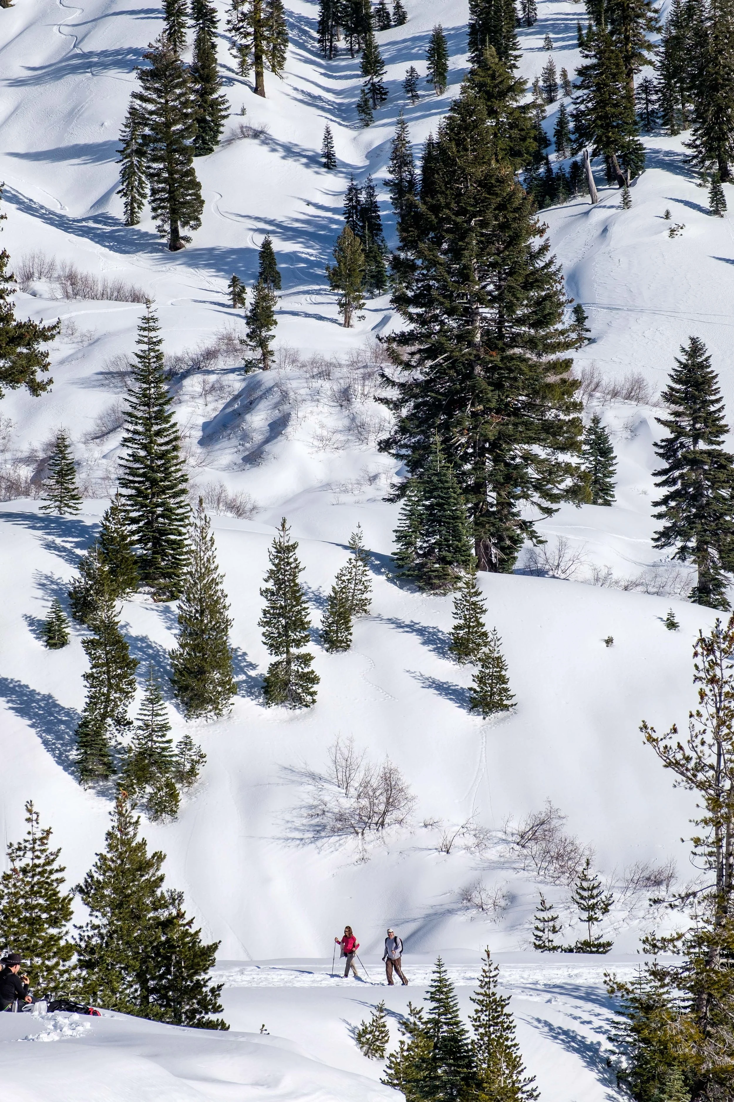 Hiking through backcountry is wonderful way to explore a snow-covered Lassen National Park!