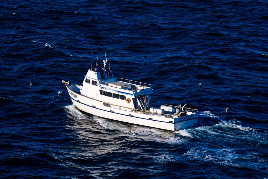The Island Packers boat that cruised us into the harbor on Santa Cruz Island.