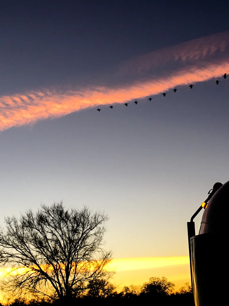 There are no RV hookups at the campgrounds in Lassen and the park road entrance was iced over when we were there so we had to leave Wally in Red Bluff... but we found some beauty for him before heading in!