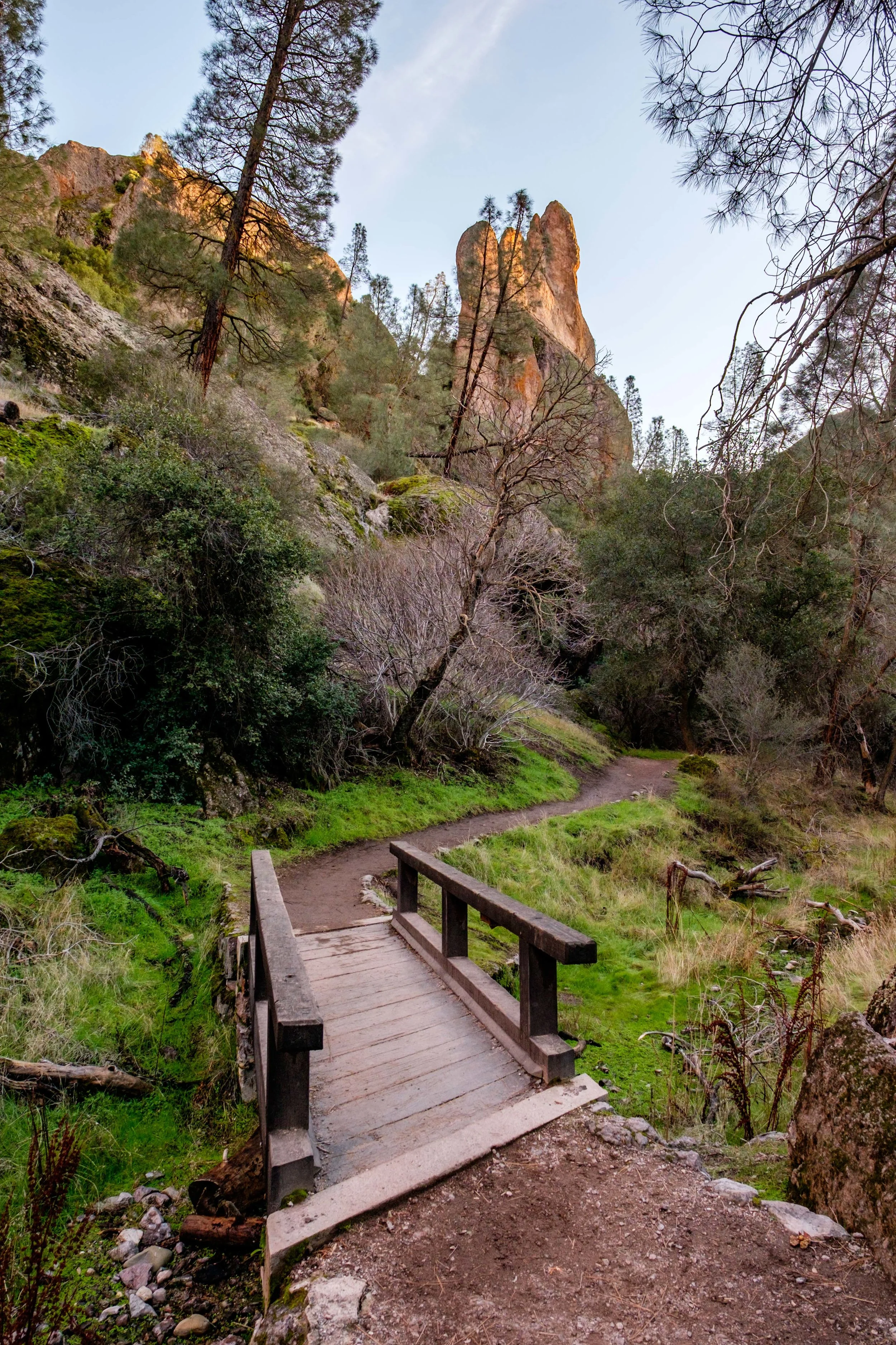 A footbridge on the Balconies Trail on the west side of the park. 