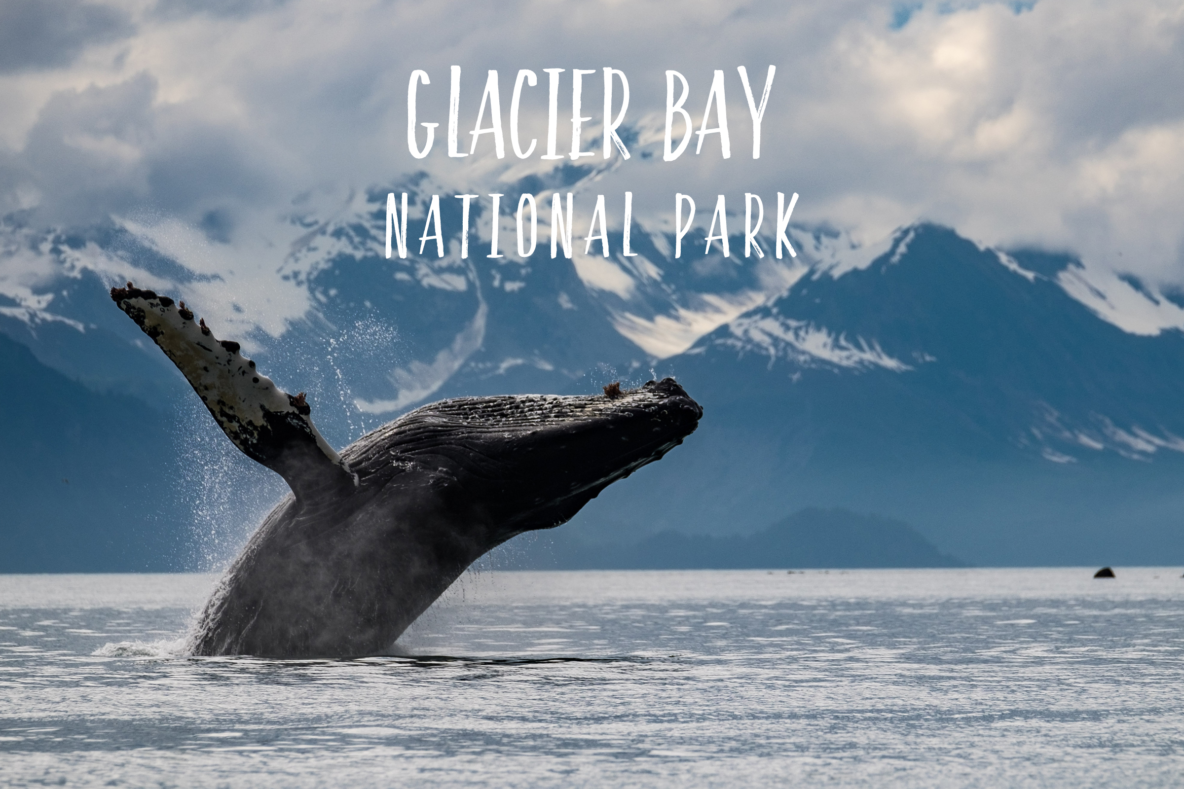 59in52_np-page_glacier-bay.jpg