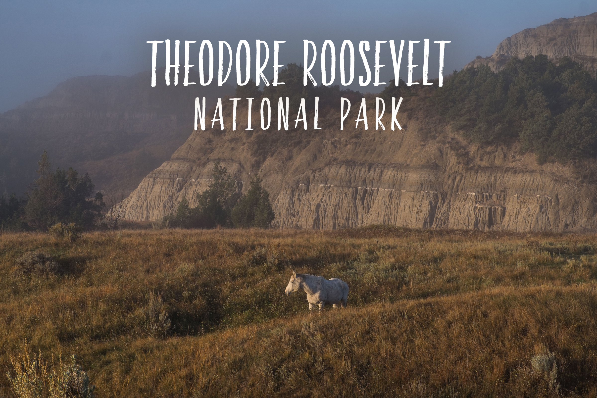 59in52_np-page_theodore-roosevelt.jpg