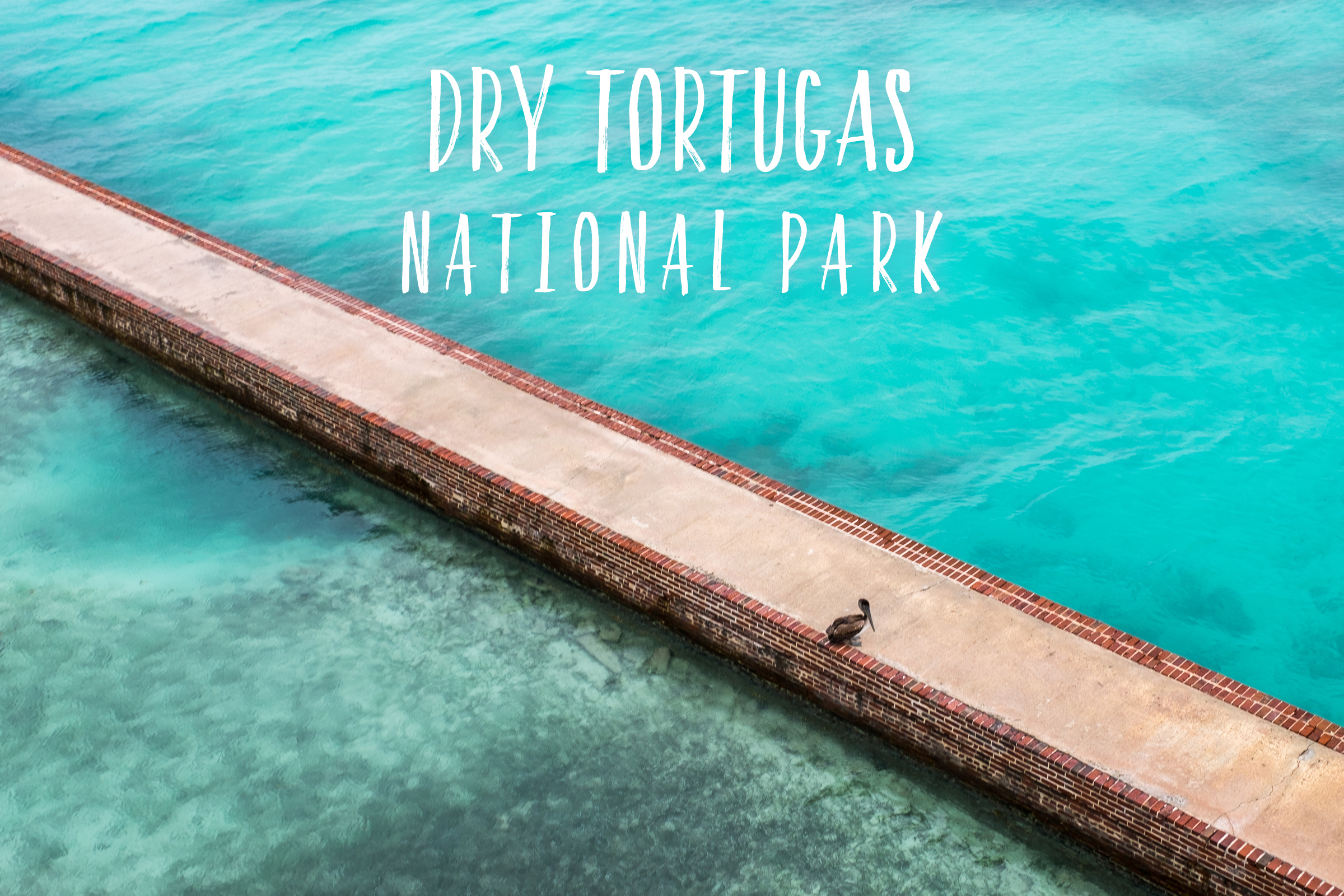 59in52_np-page-dry-tortugas.jpg