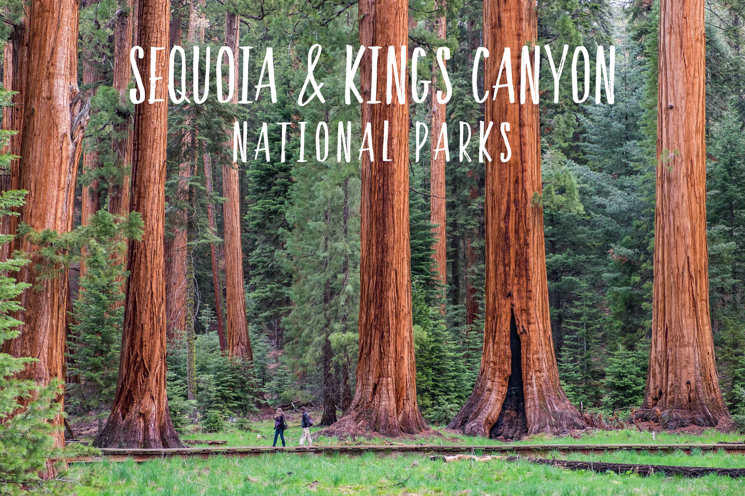 59in52_parks_sequoia-kings-canyon.jpg