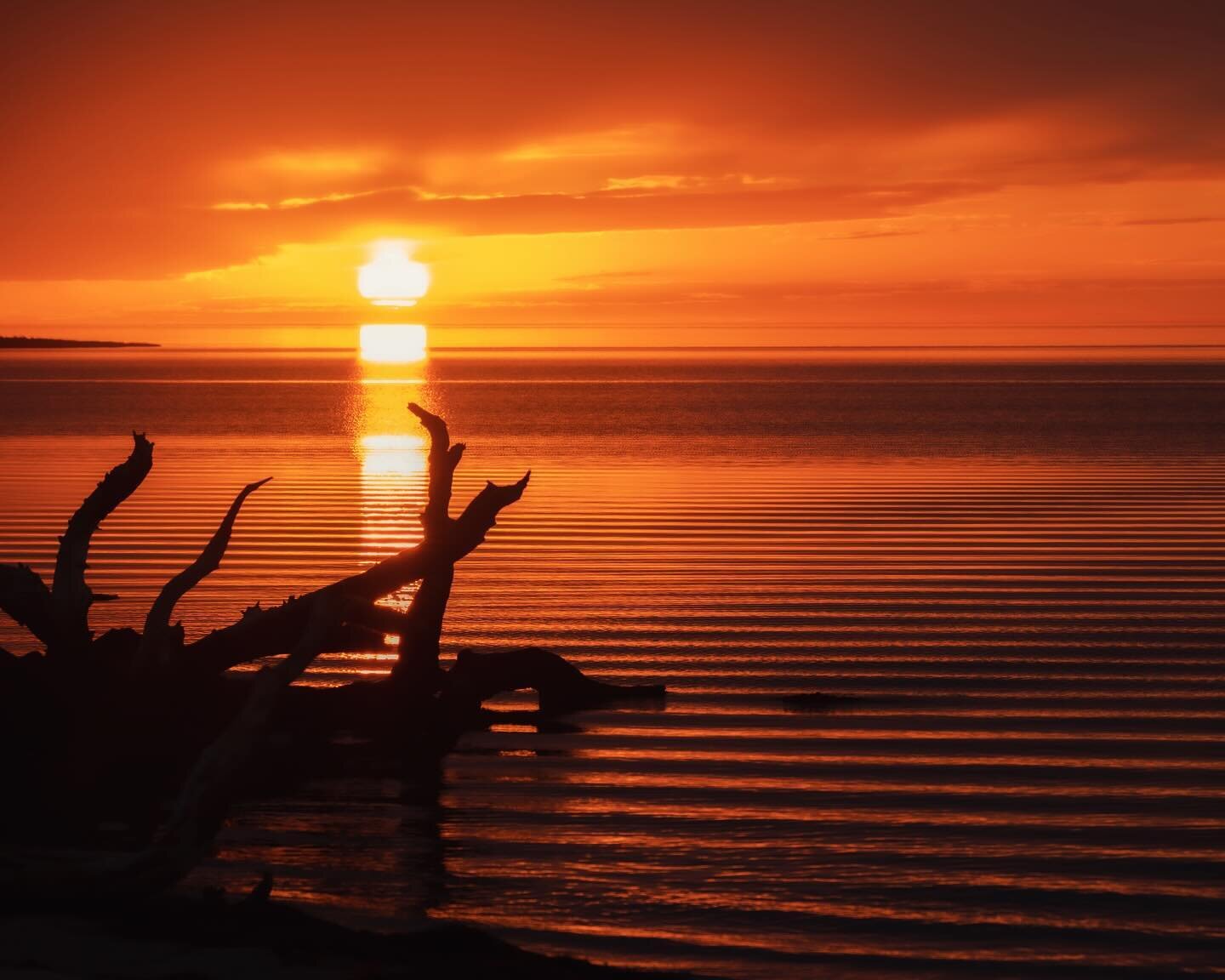 Last light on the Pamlico Sound, the largest lagoon on North America&rsquo;s east coast, facing west. Its waters are 80 miles long and 20 miles wide &mdash; plenty of space for it to move&hellip; left me wondering what it was that created this perfec