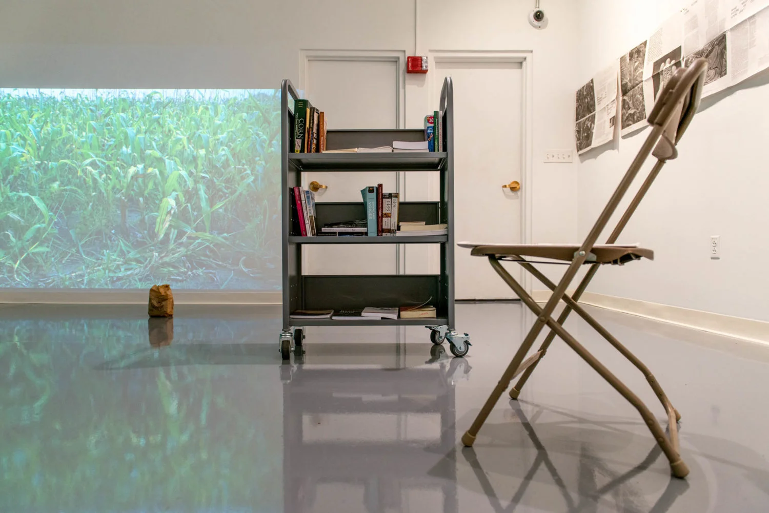 RECEPTION FOR EXHIBIT SHOWS DRAW OF RESEARCH-BASED ART A well-attended opening reception in the McCarthy Arts Center Gallery for the Overnigth Projects solo exhibition of New York City based artist Amanda Turner Pohan called “Maize Meditation” -- an installation and site-specific work in the Gallery and the Saint Michael's Natural Area investigating the history of corn production and consumption.