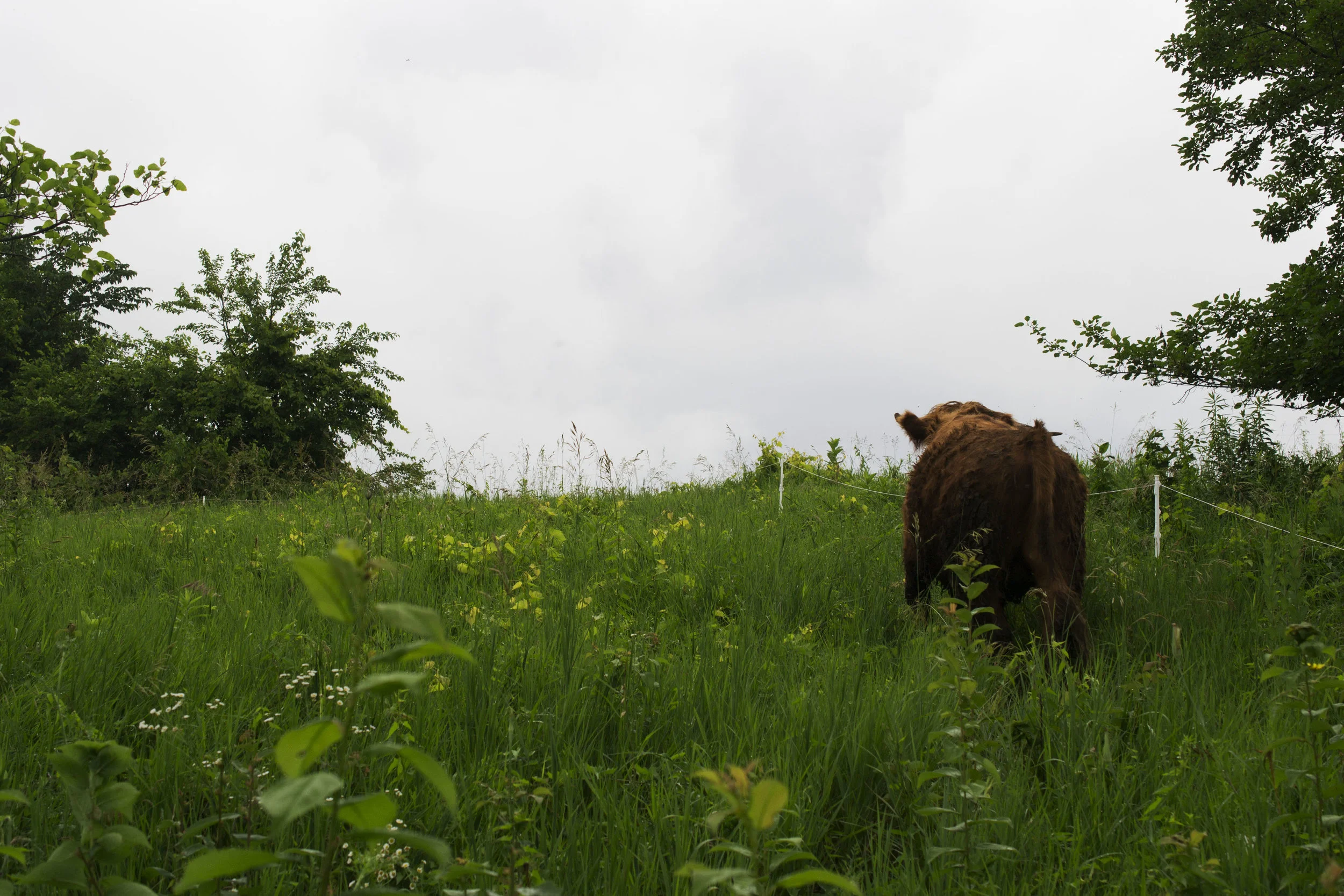 DSC_1177.jpg
