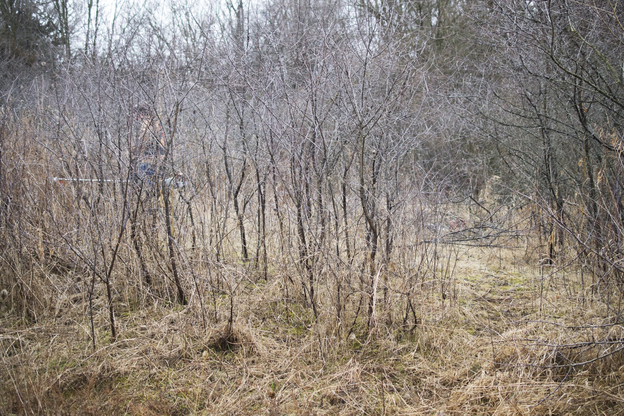 DSC_0825.jpg