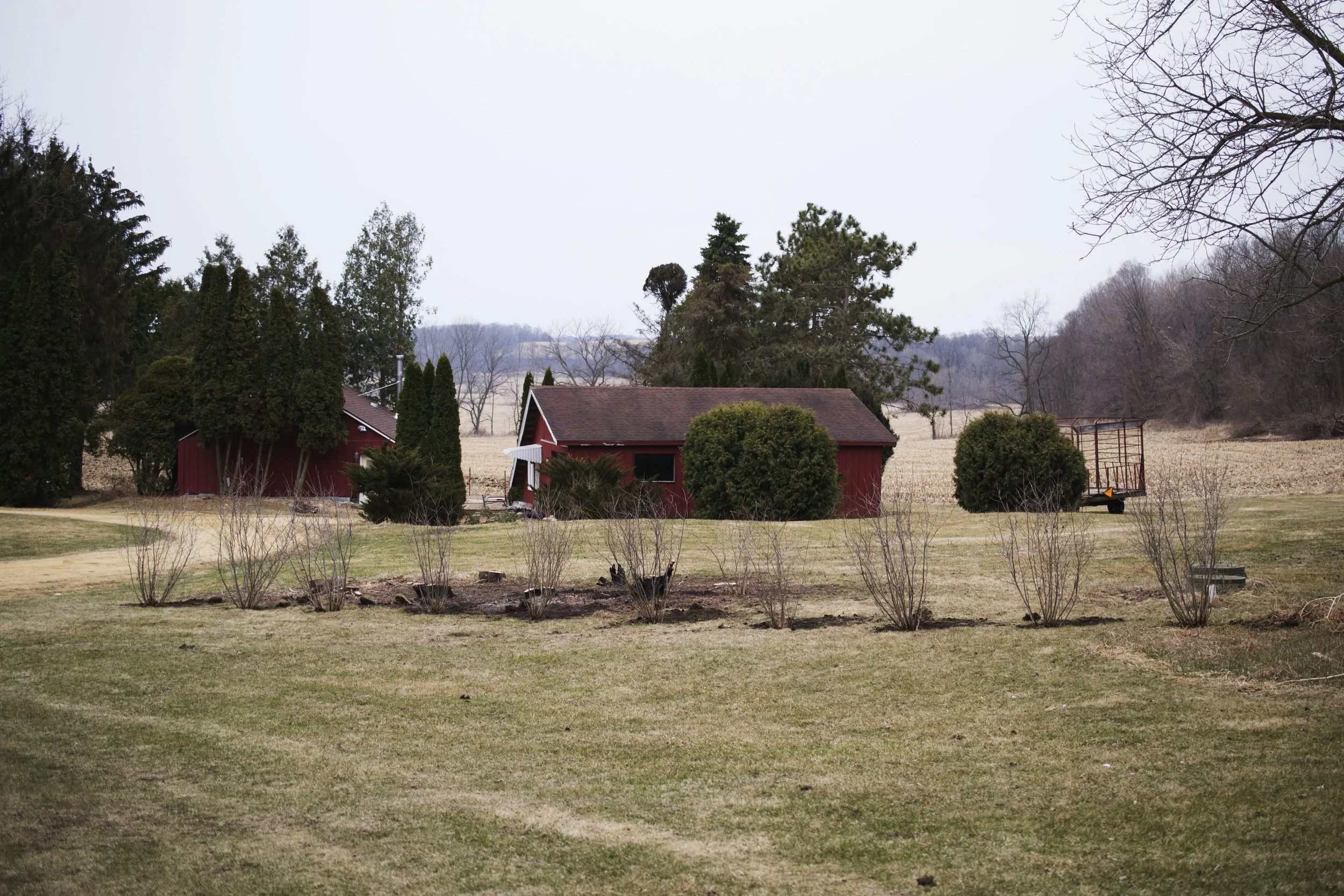 DSC_0908.jpg
