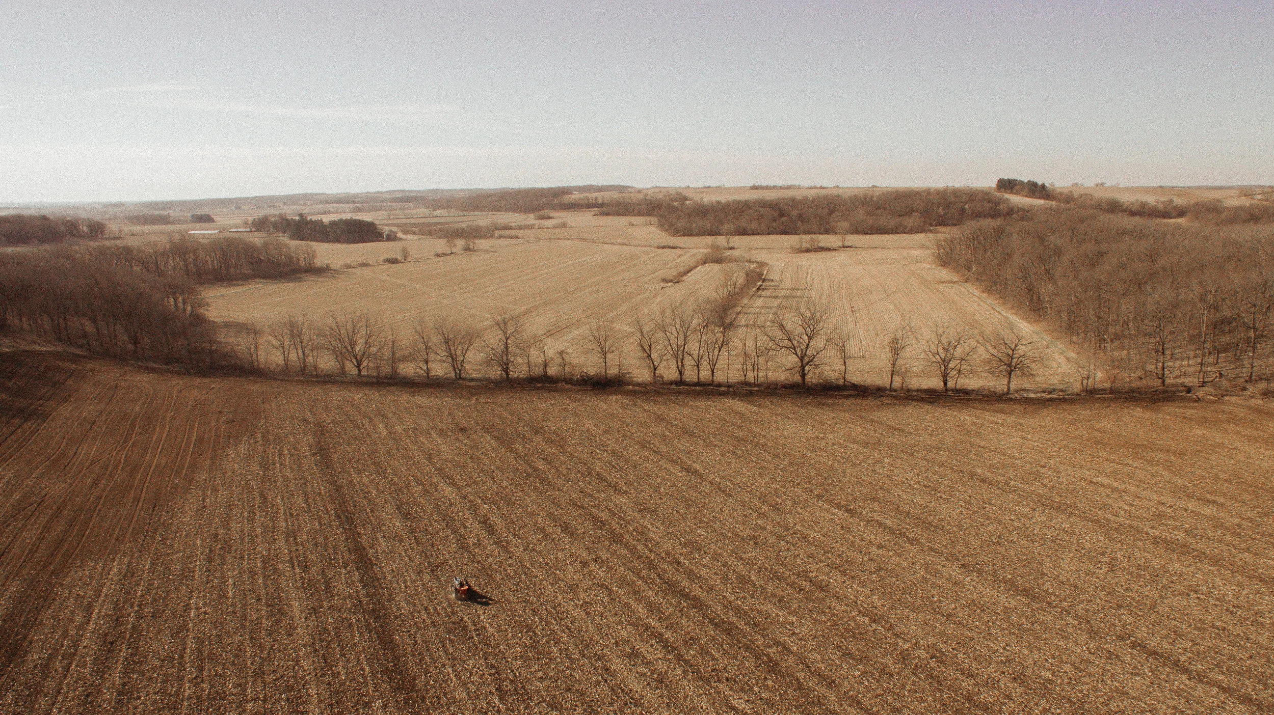 Drone-0008.jpg