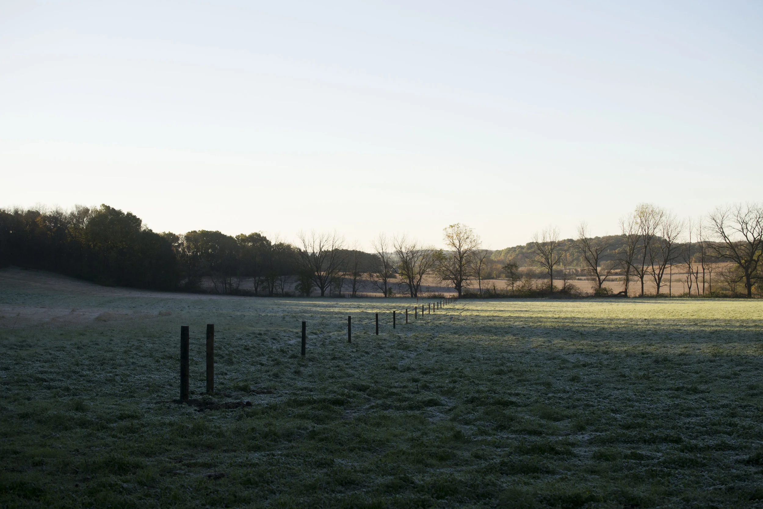 DSC_0131.jpg