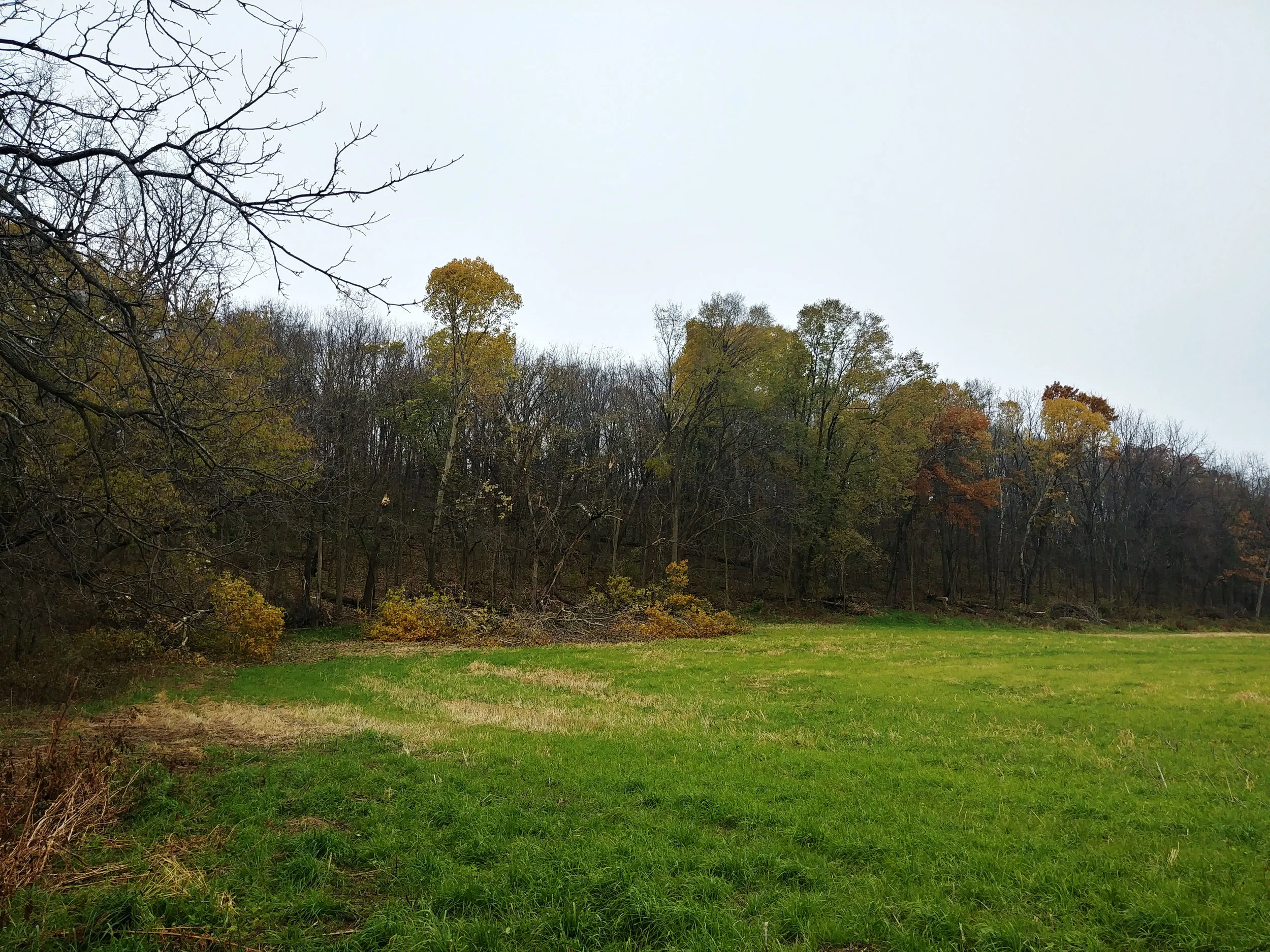 20181027_105730_HDR.jpg