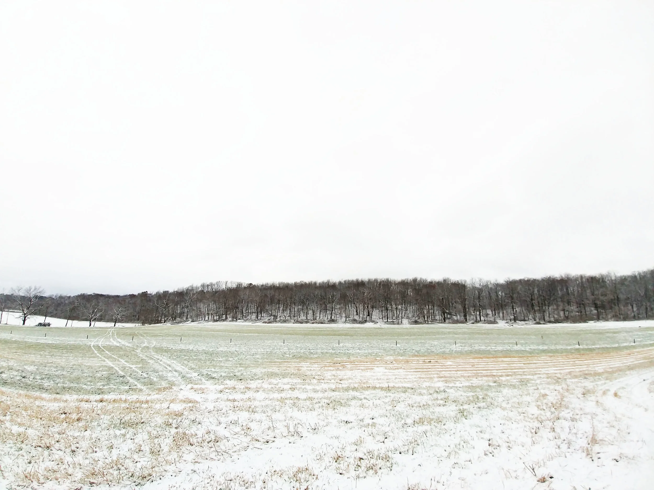 20181117_082741.jpg