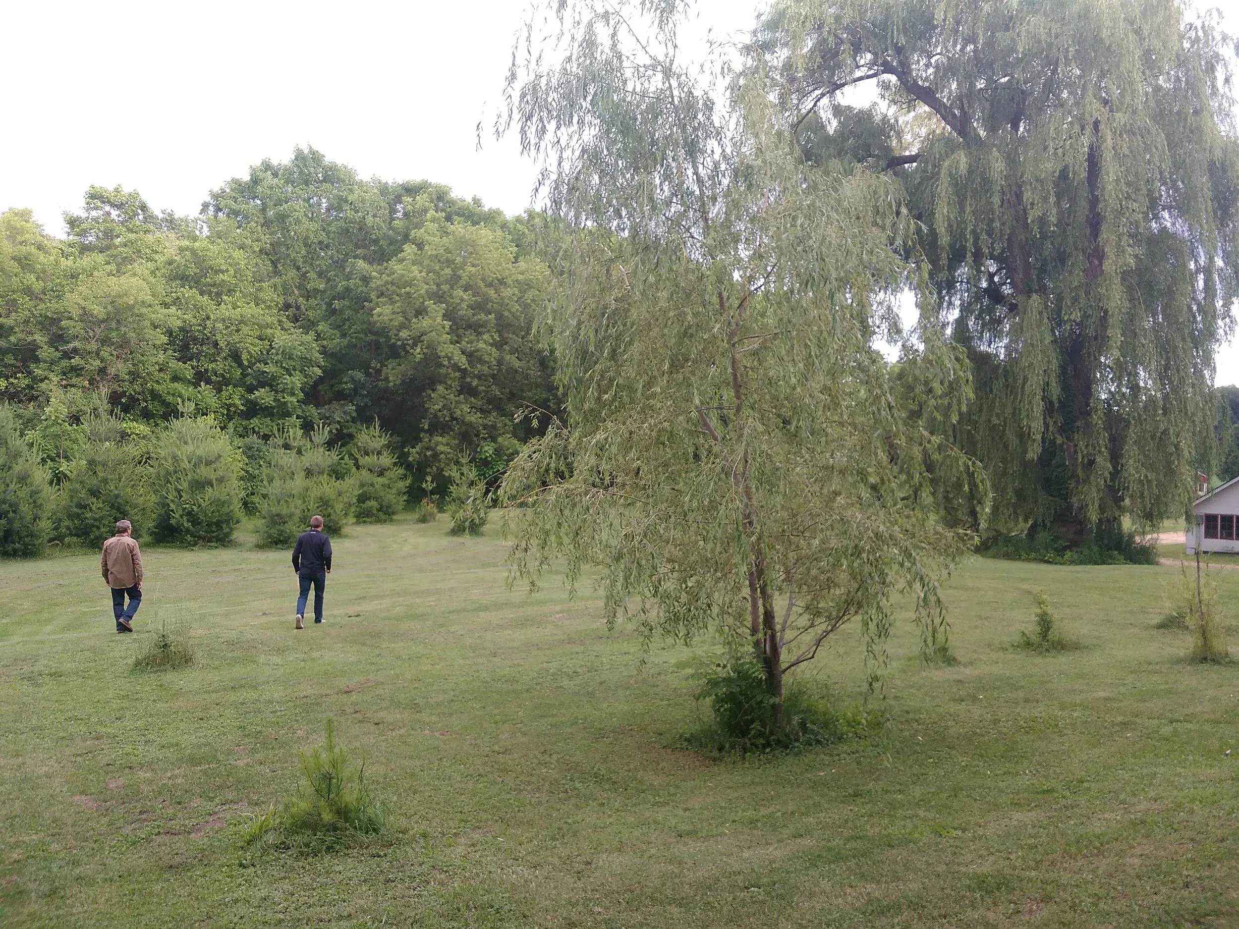 grass-fed beef and lamb madison wisconsin - humane farm - grassfed