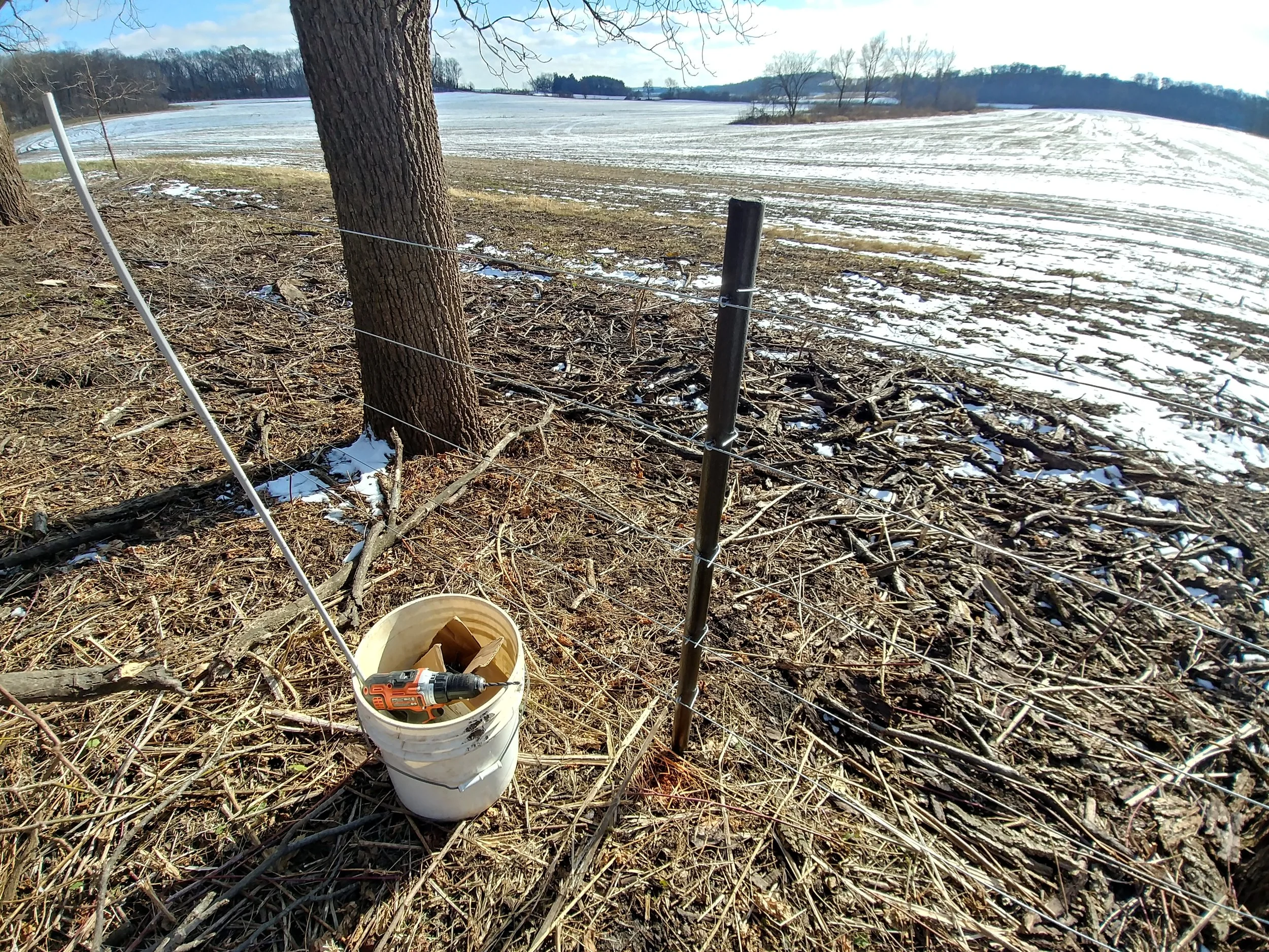 20181120_121433_HDR.jpg