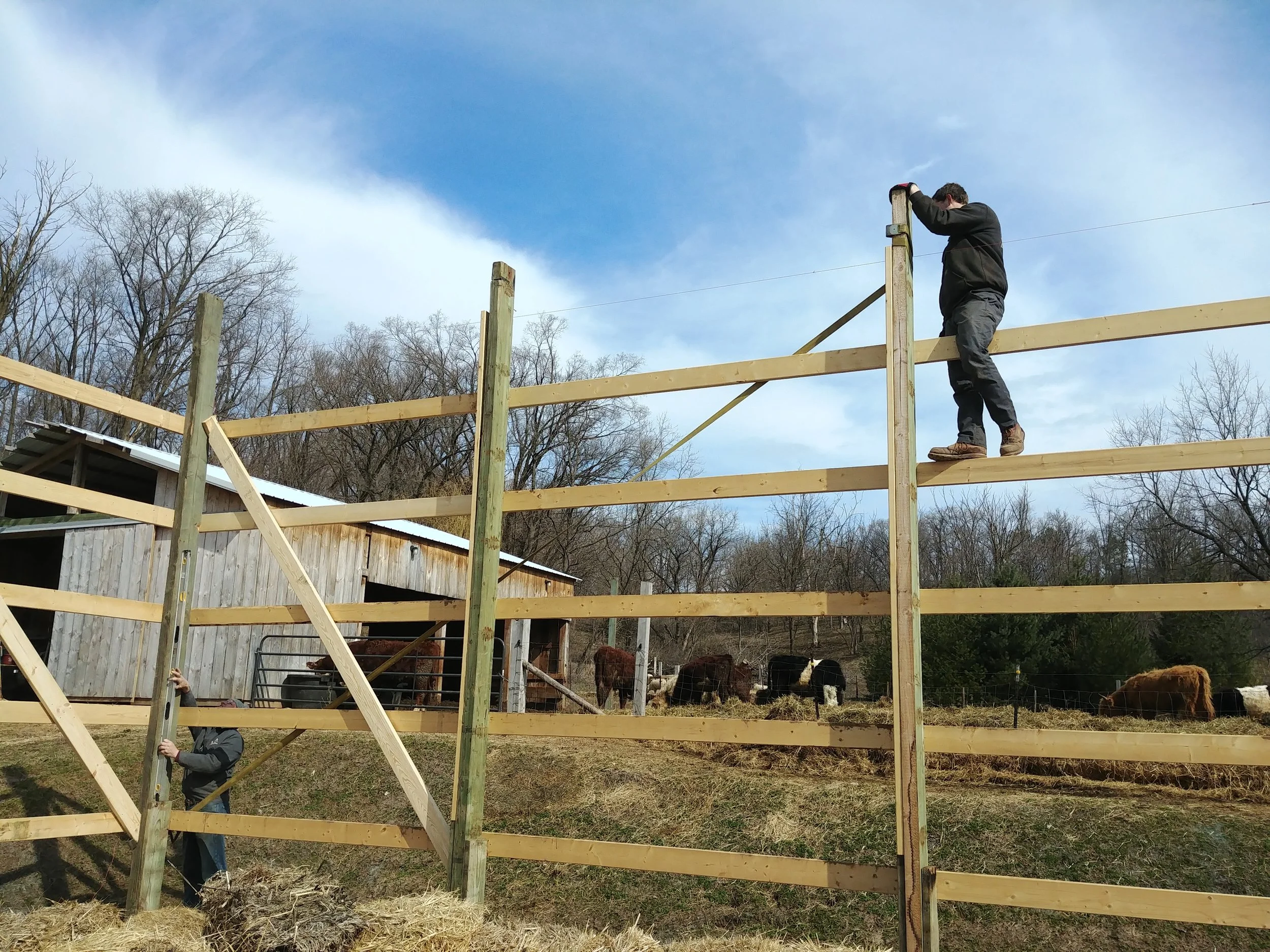 20190330_104831.jpg