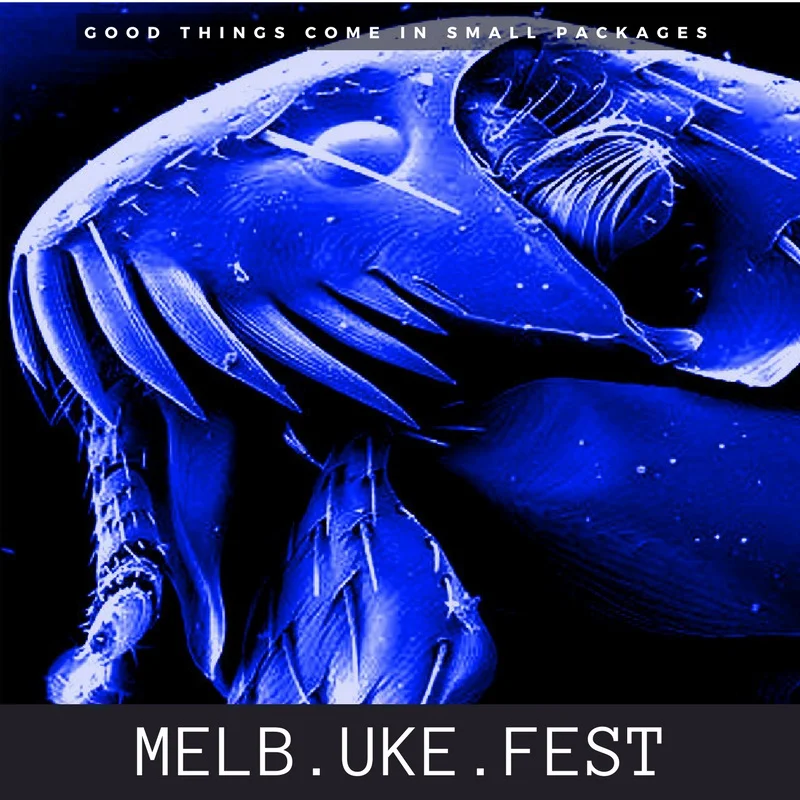 spaceflea2019.jpg
