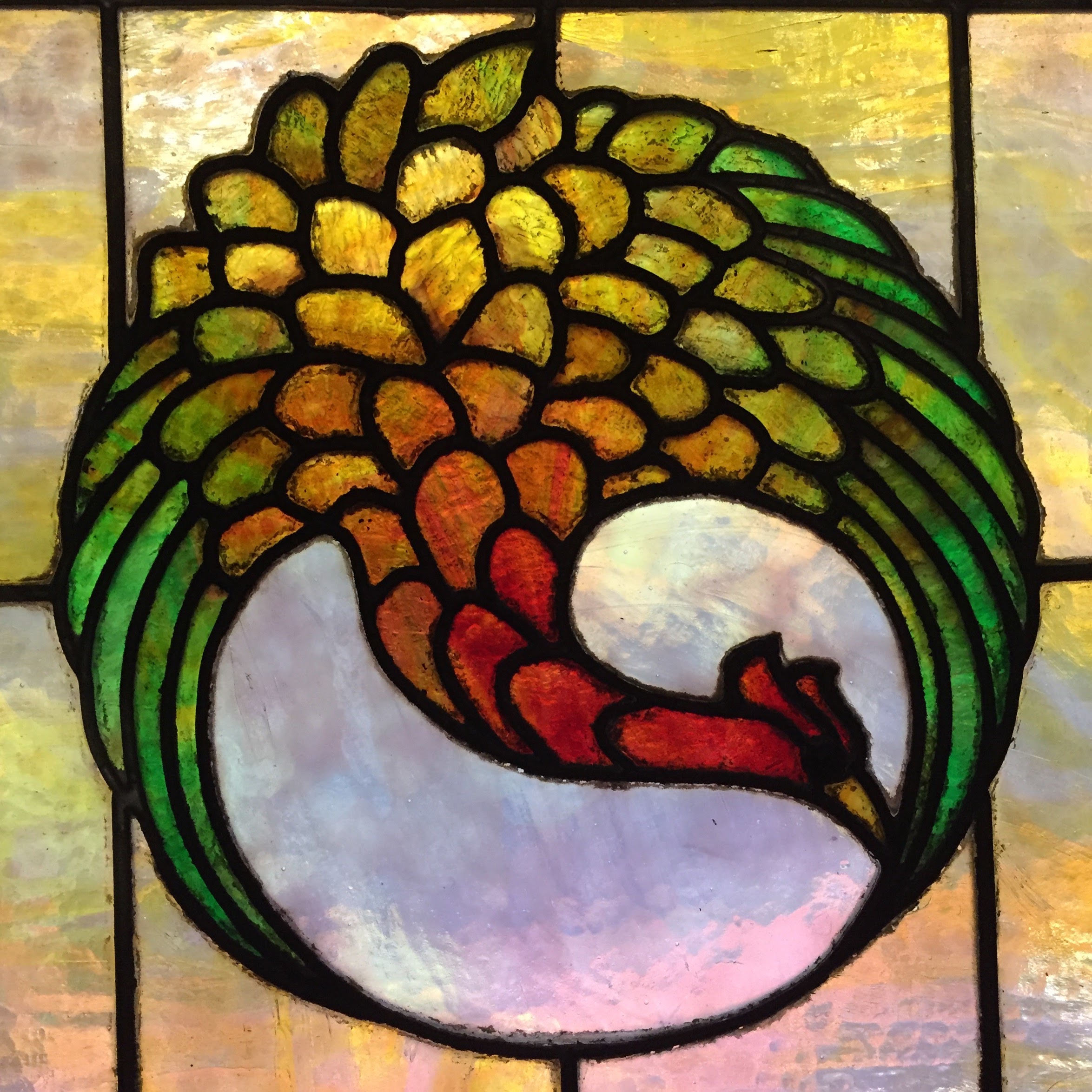 (The color gradient on the feathers is particularly well done)