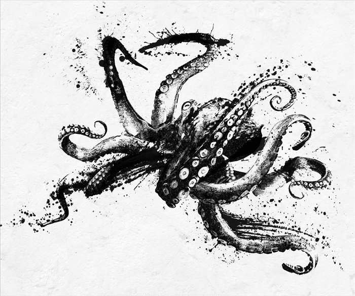 octopus_007.jpg