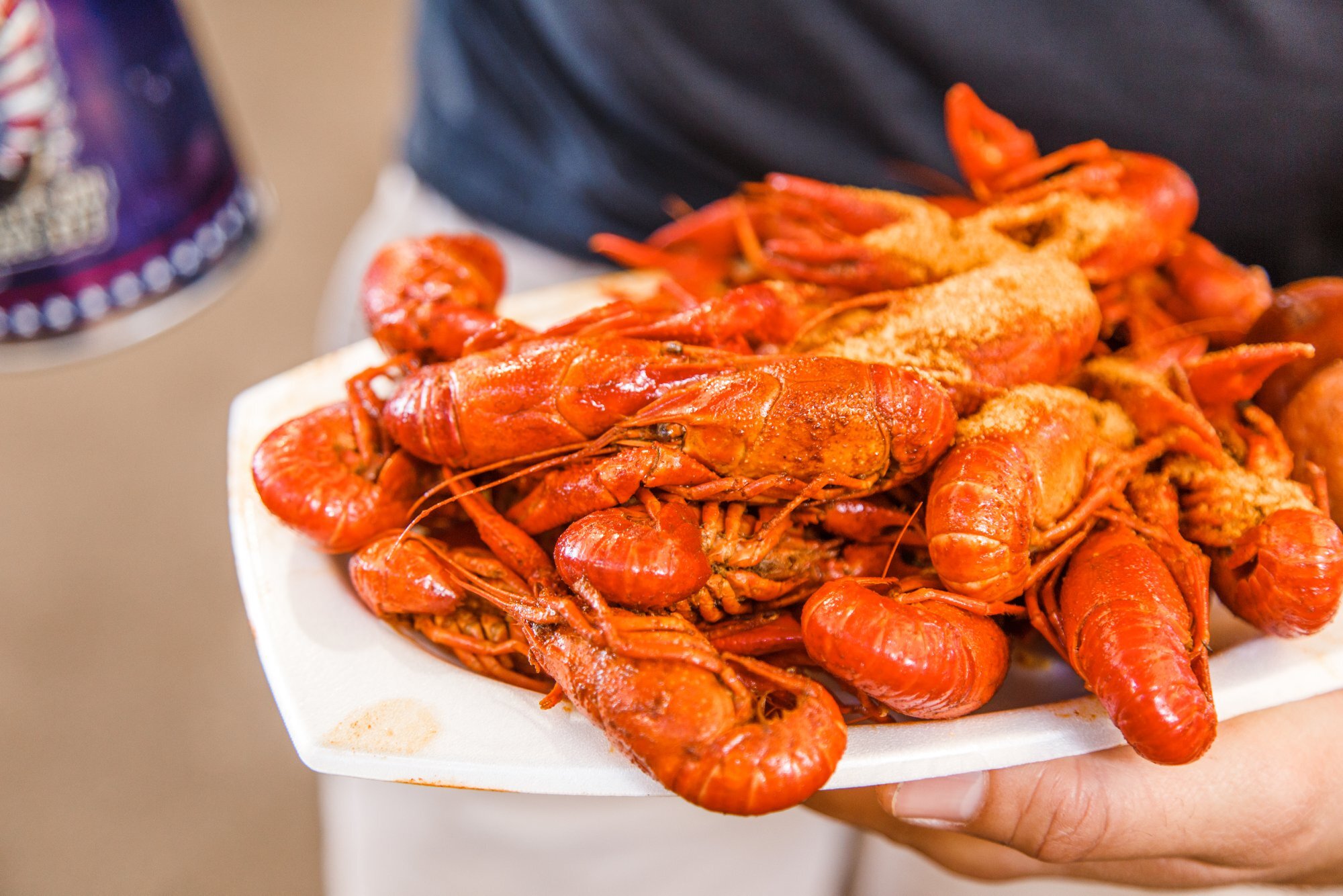 Great Ogeechee Seafood Festival — Official Guides of Savannah