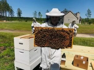 National Honey Bee Day Stem Saturday Speaker