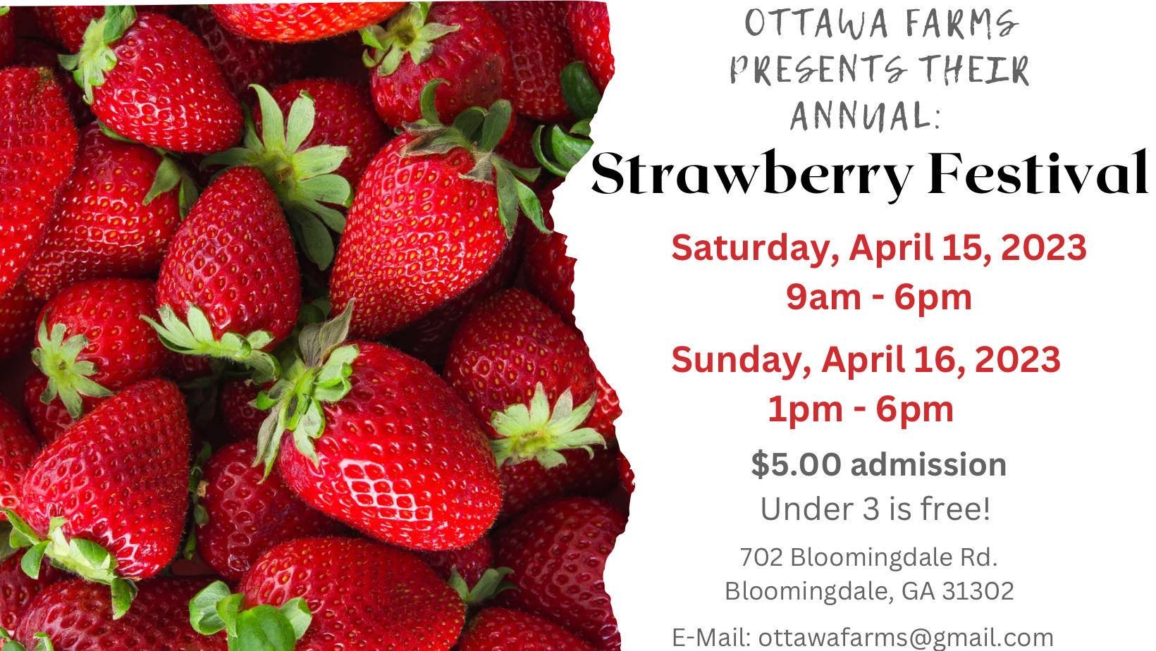 Ottawa Farms Annual Strawberry Festival — Official Guides of Savannah