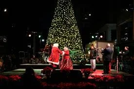 Savannah Holly Days Tree Christmas Tree Lighting Ceremony