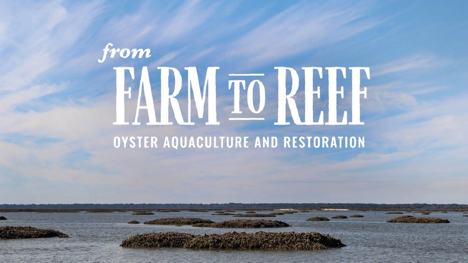 From Farm to Reef:  Oyster Aquaculture and Restoration