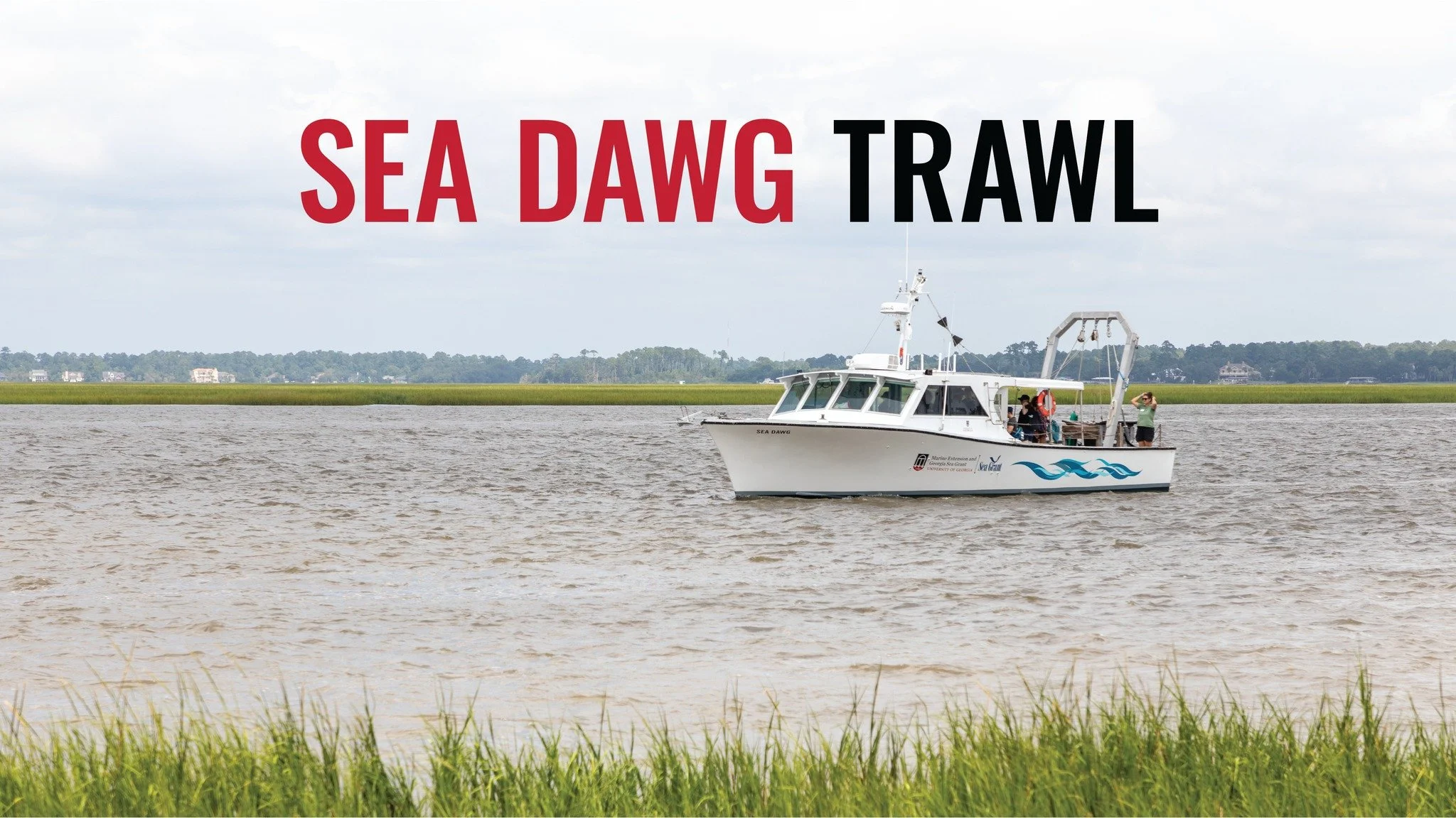 Sea Dawg Trawl