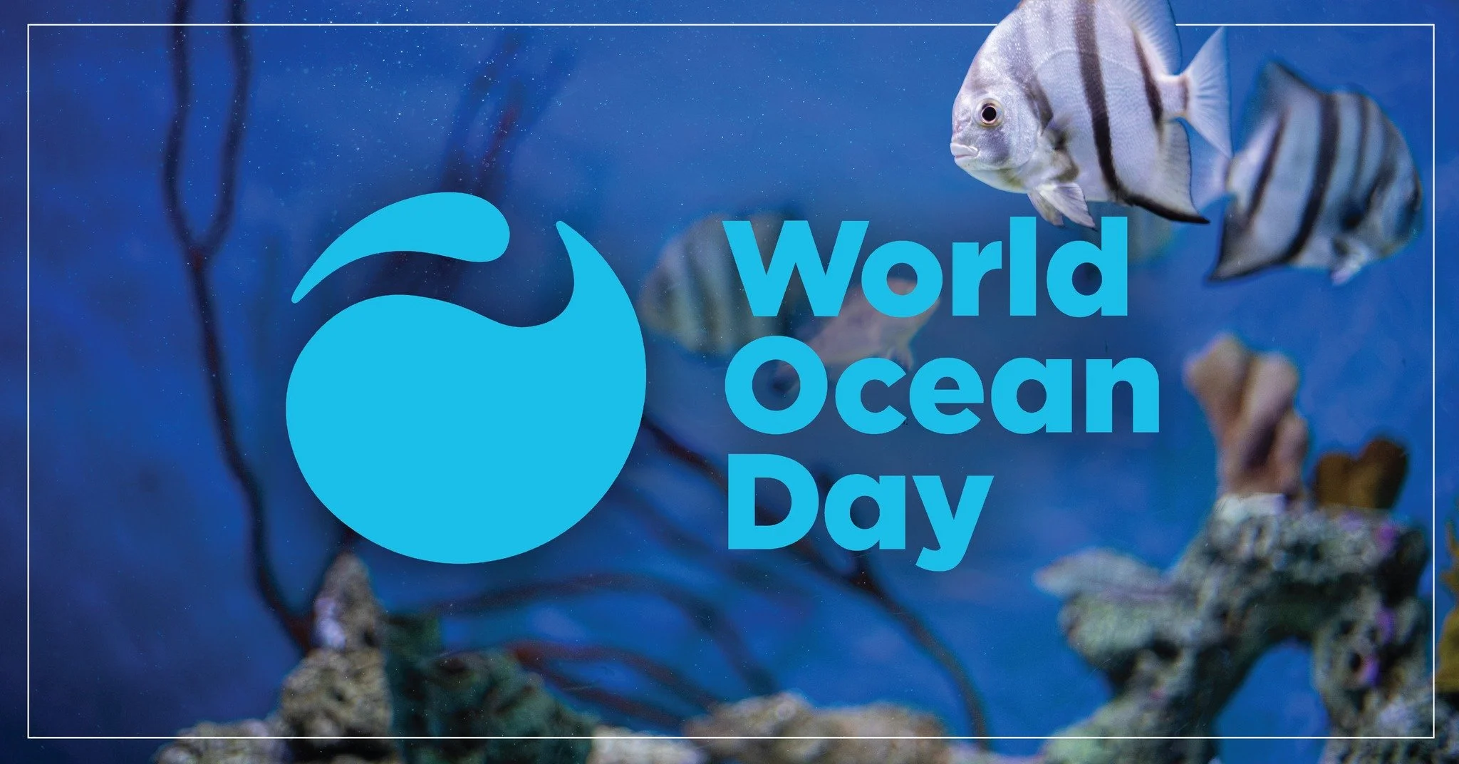 World Ocean Day