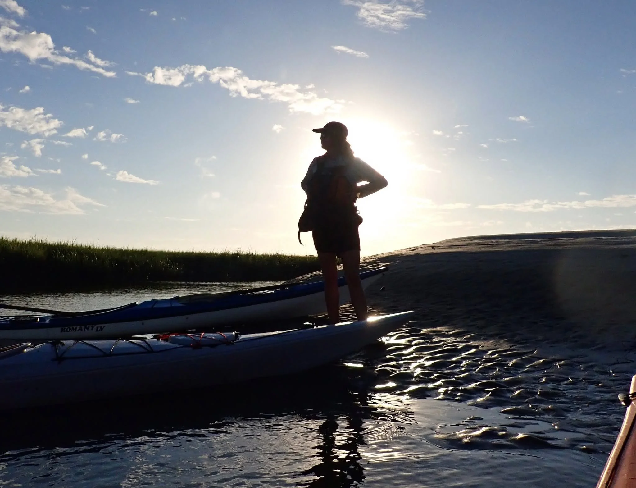 Wassaw Island Full-Day Kayak Adventure