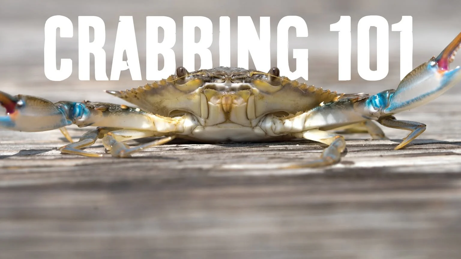 Crabbing 101