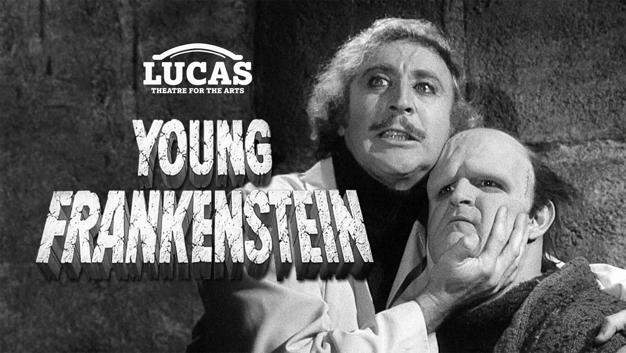 Endless Summer: Young Frankenstein