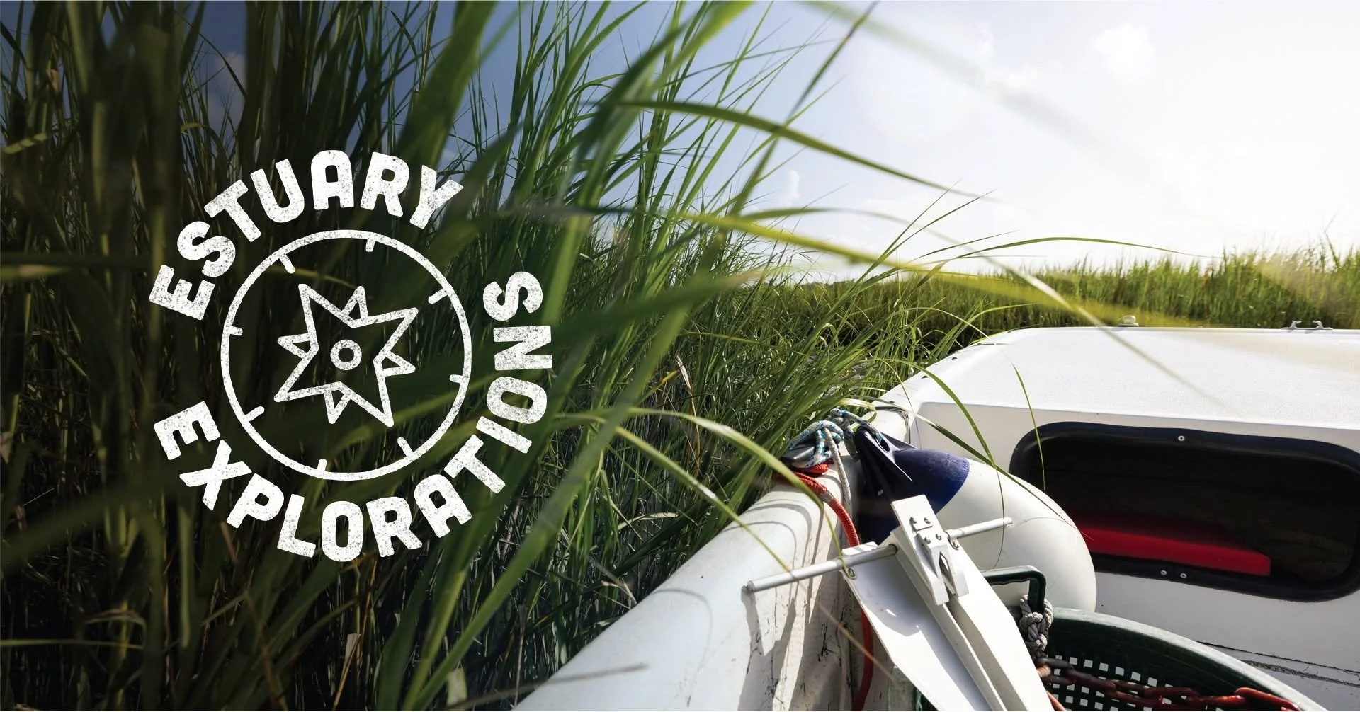 Estuary Explorations