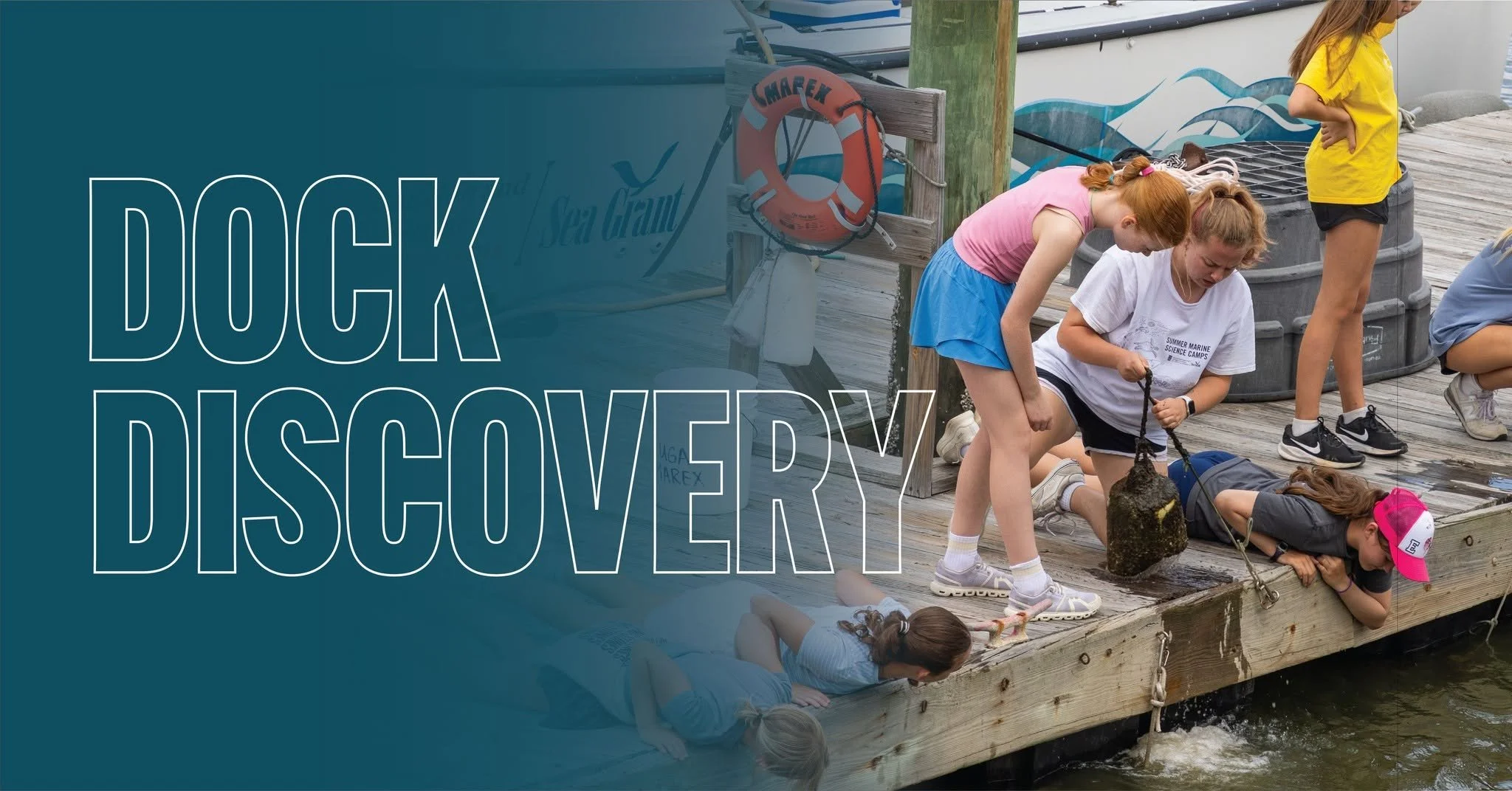 Dock Discovery