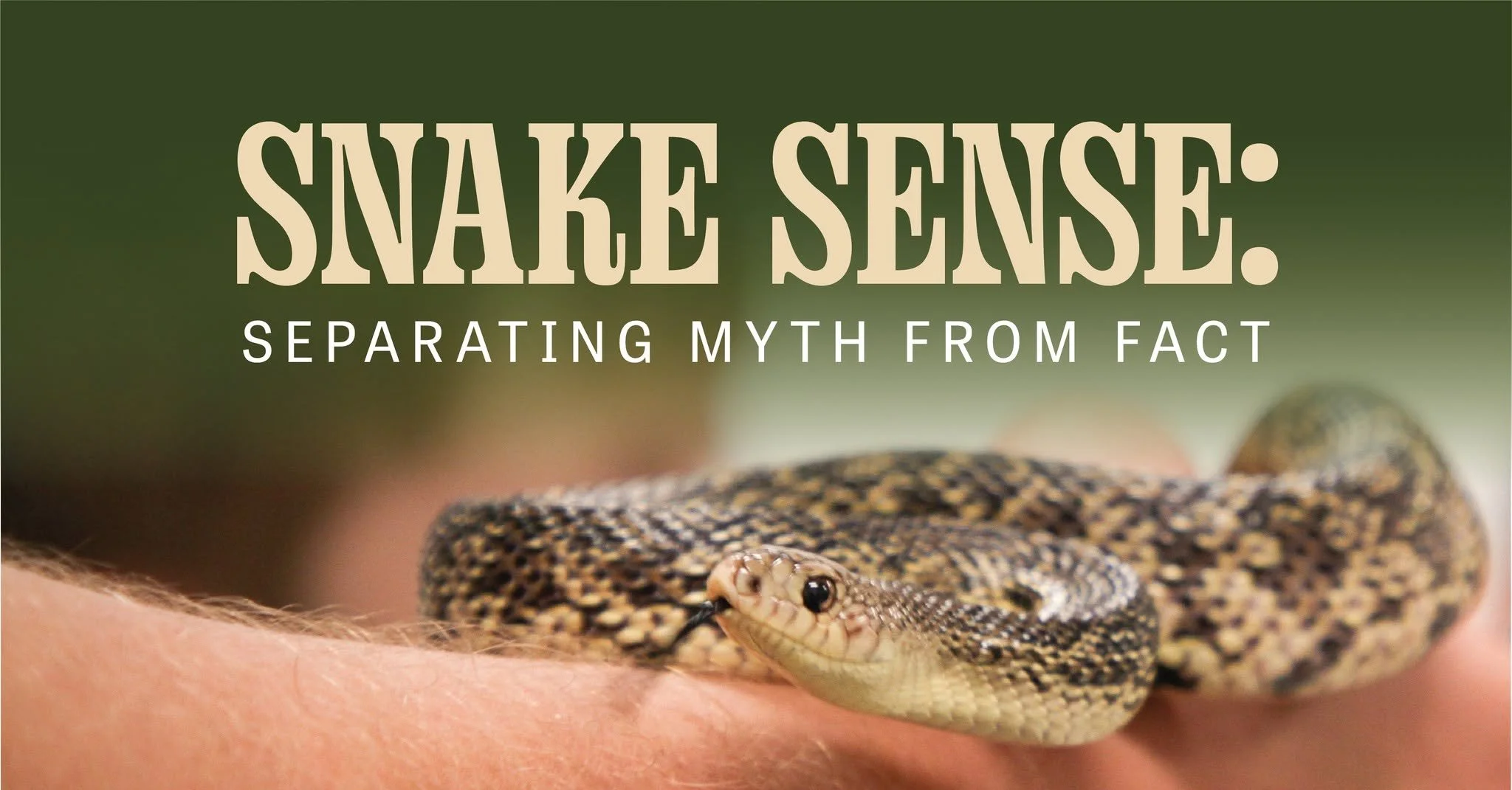 Snake Sense: Separating Myth from Fact