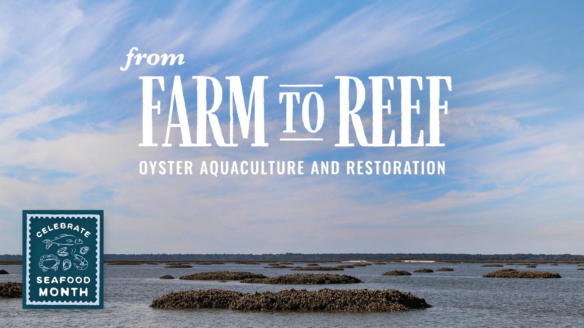 From Farm to Reef:  Oyster Aquaculture and Restoration